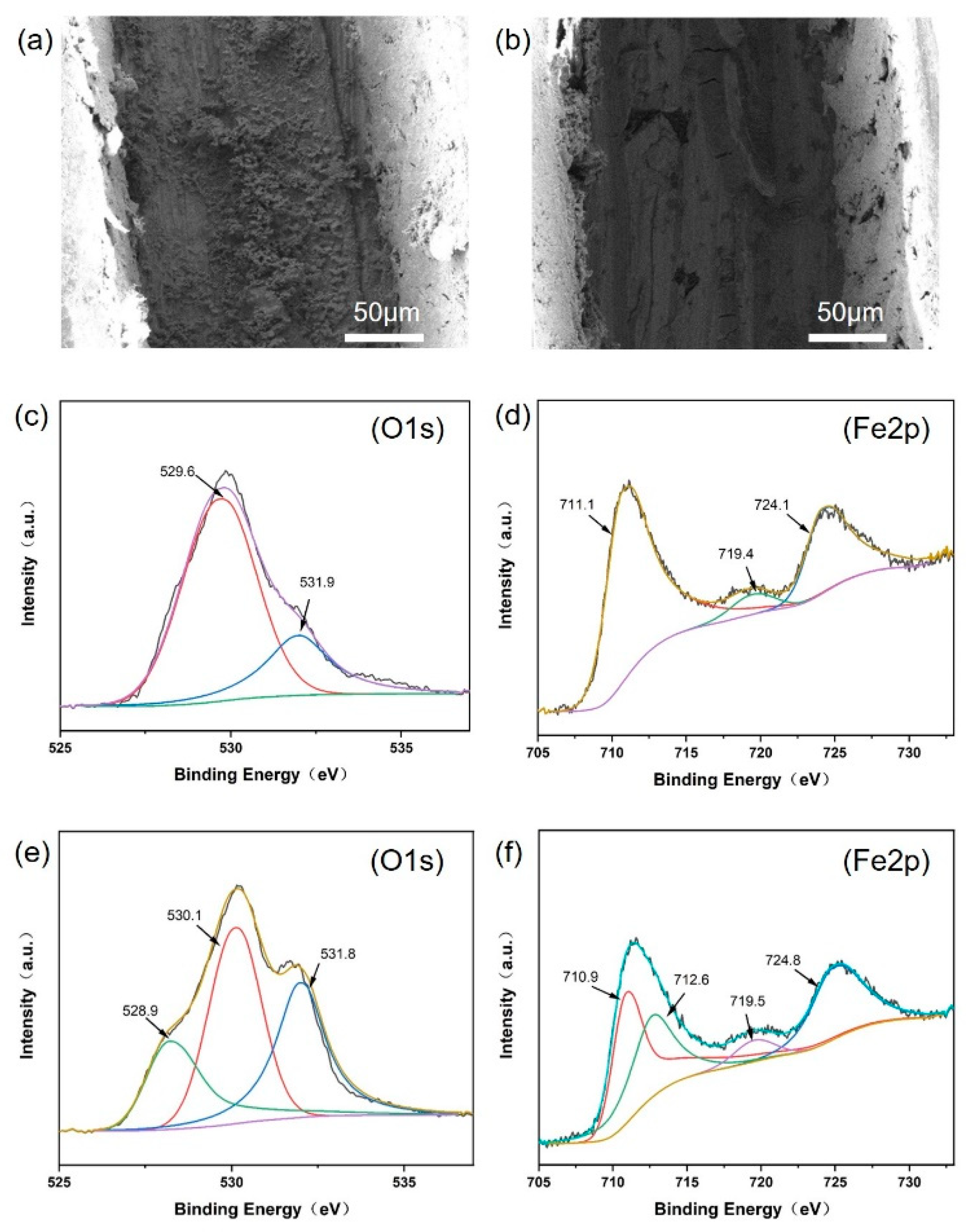 Nanomaterials 14 00076 g009 Nanomaterials 14 00076 g009