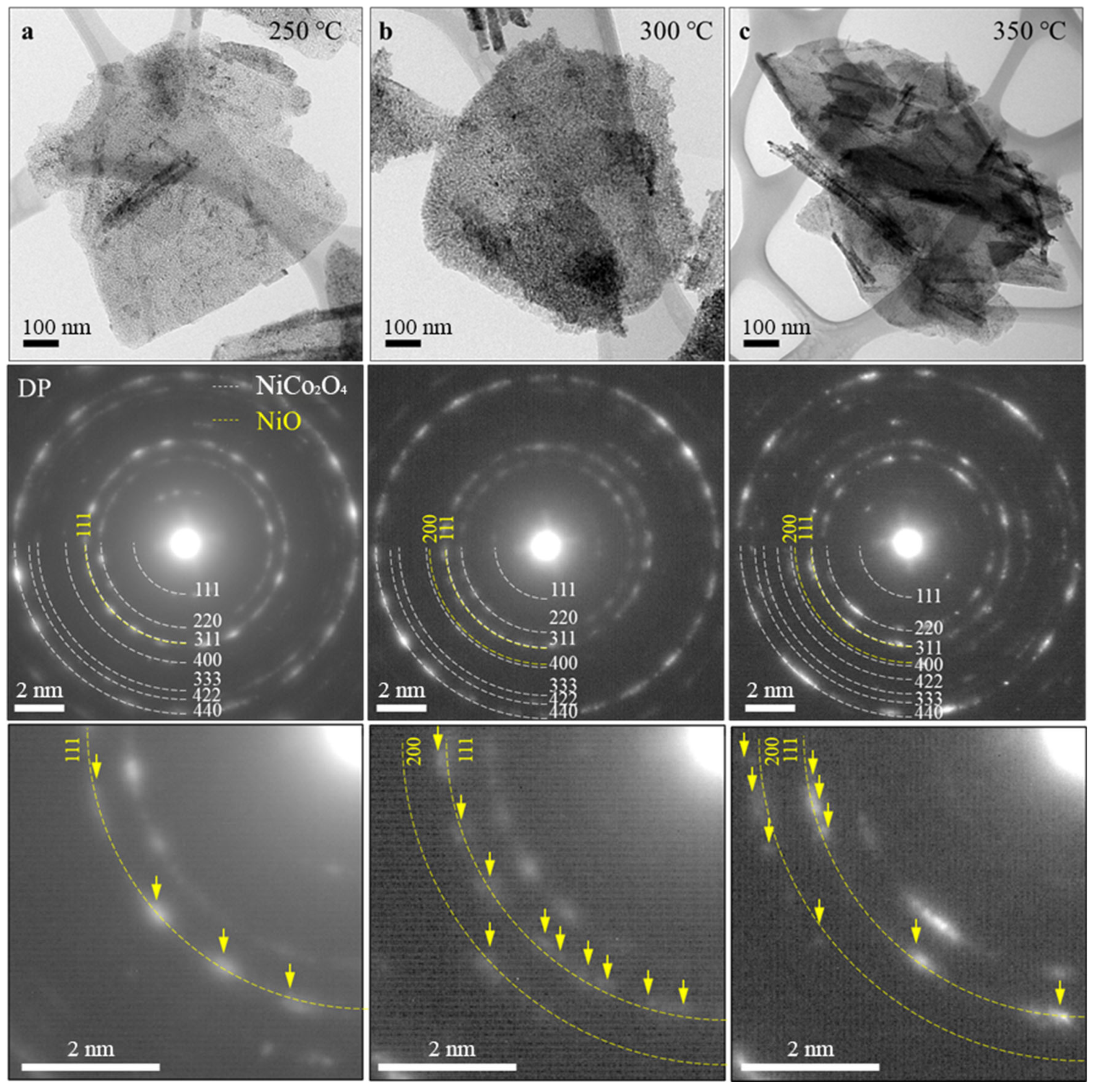 Nanomaterials 14 00079 g003