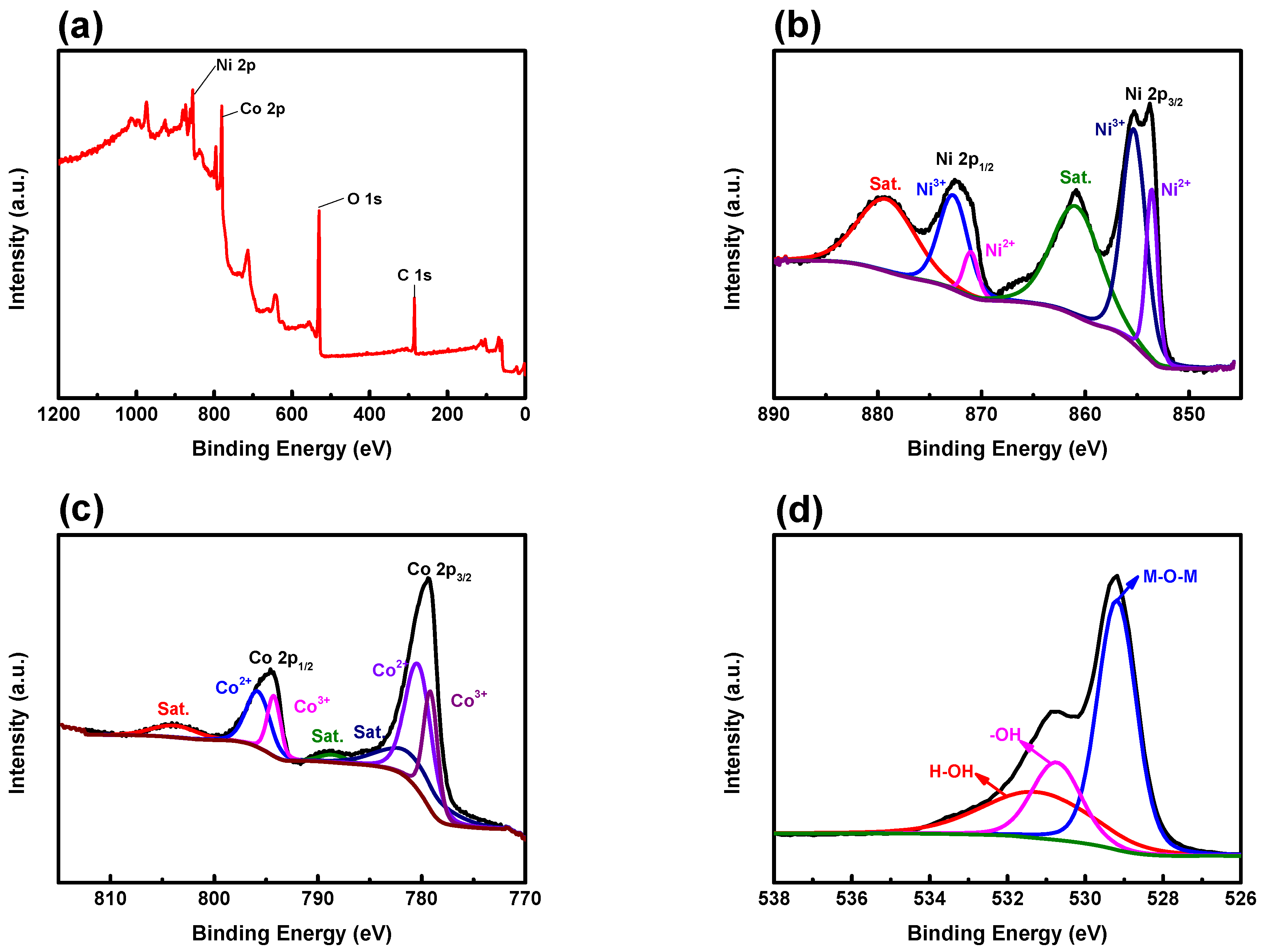 Nanomaterials 14 00079 g005