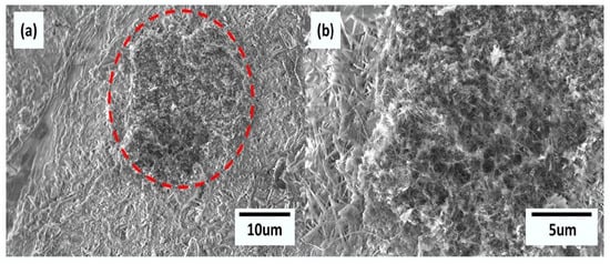 Nanomaterials 14 00080 g003