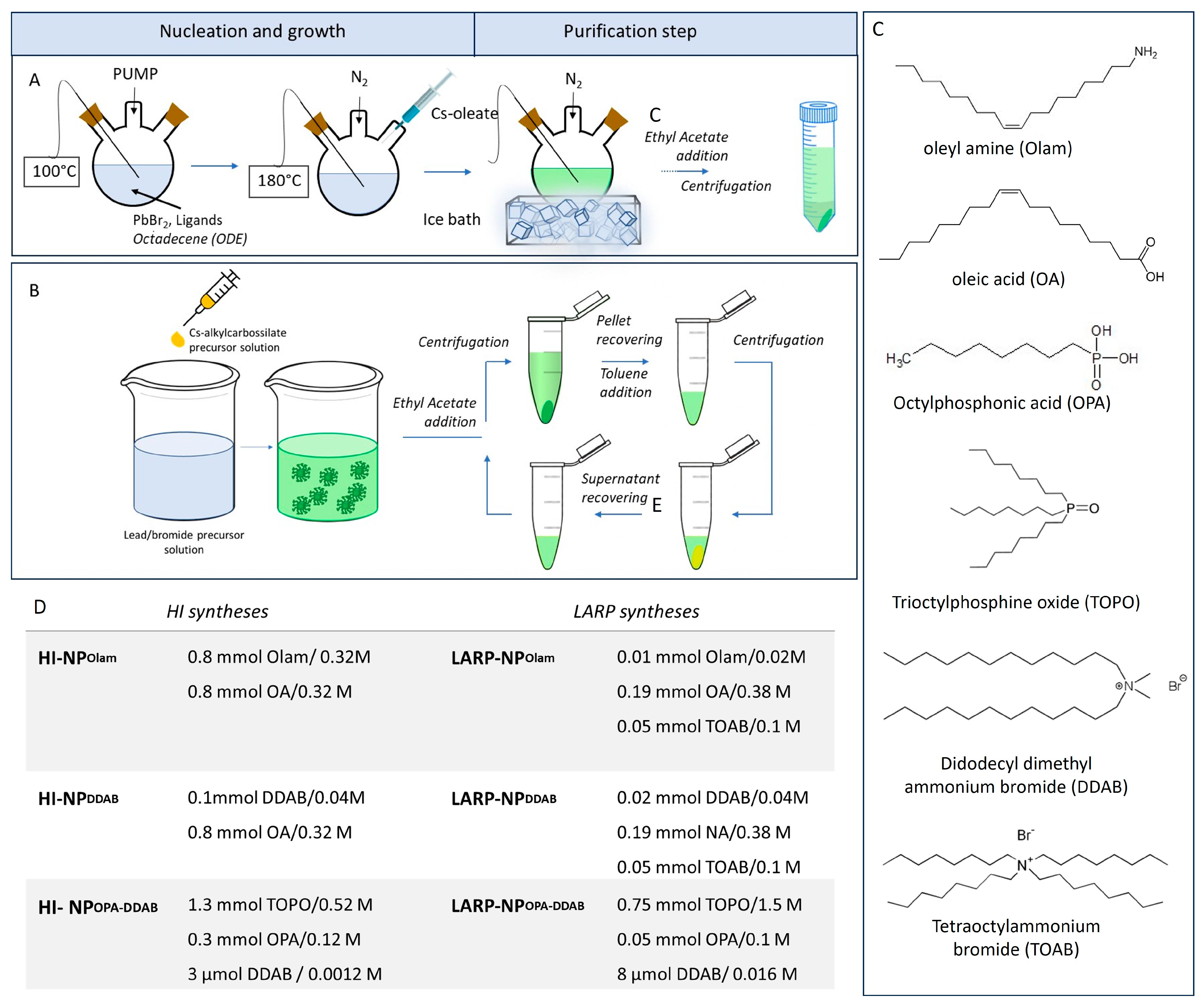 Nanomaterials 14 00081 g001