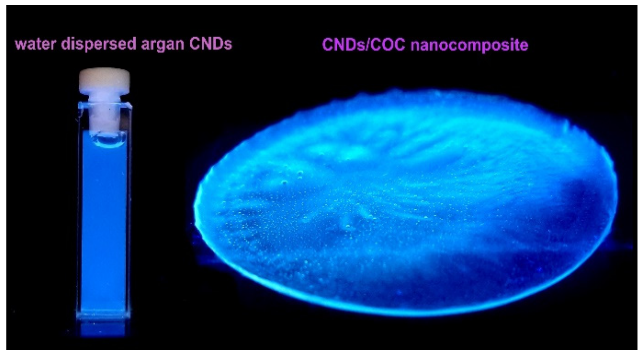 Nanomaterials 14 00083 g001