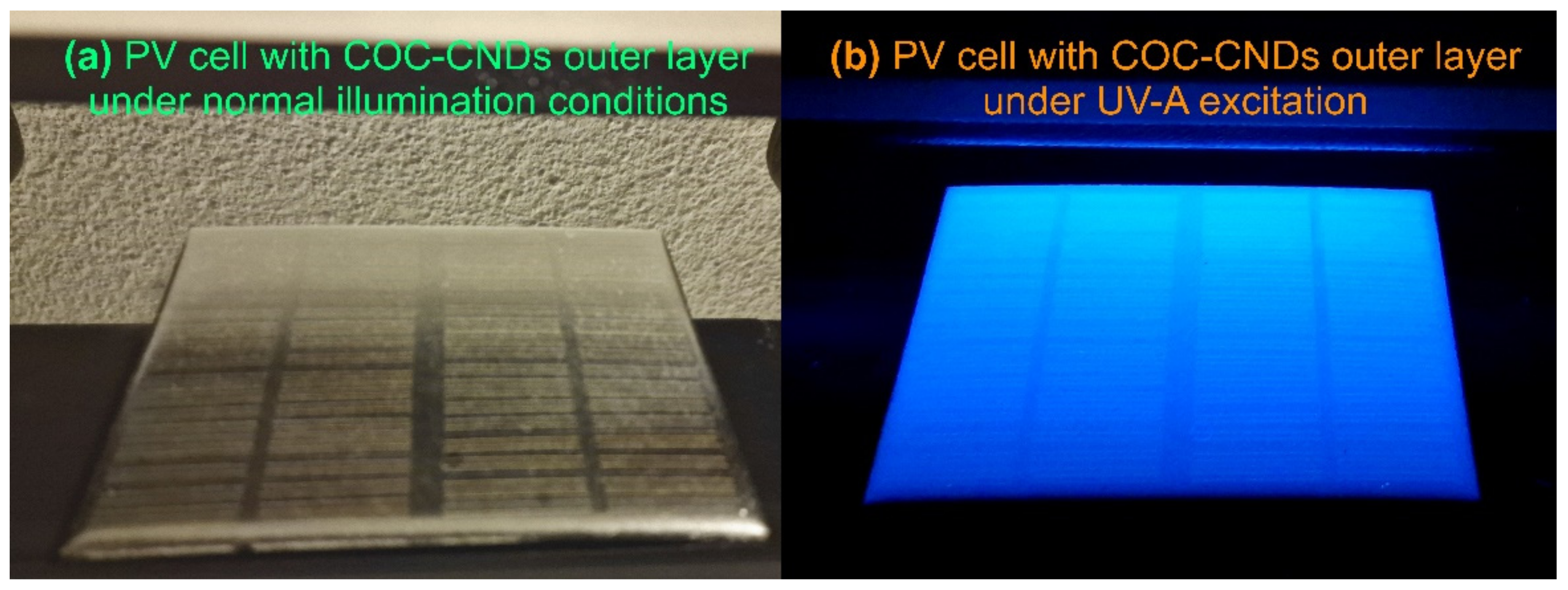 Nanomaterials 14 00083 g011