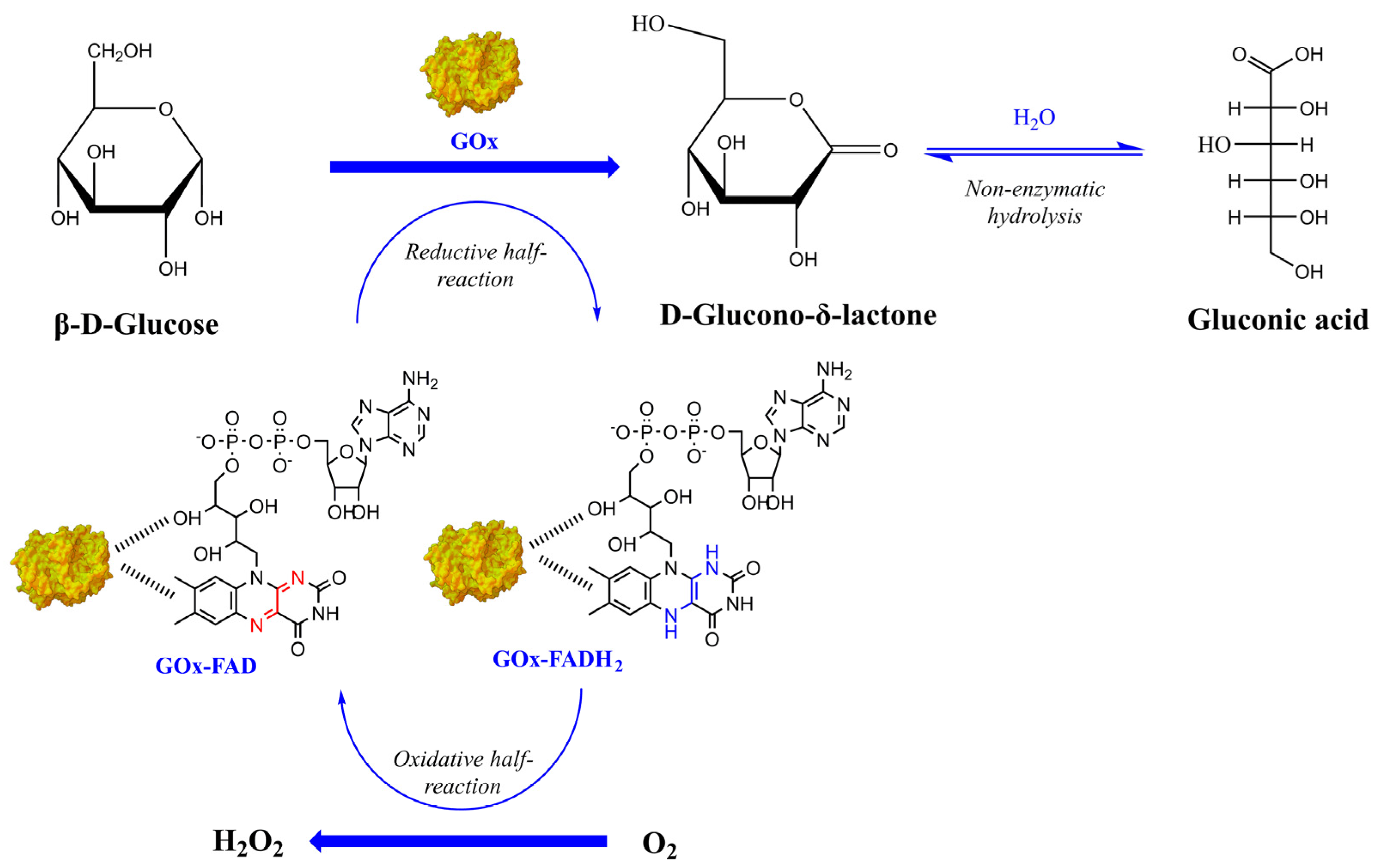 Nanomaterials 14 00085 g001