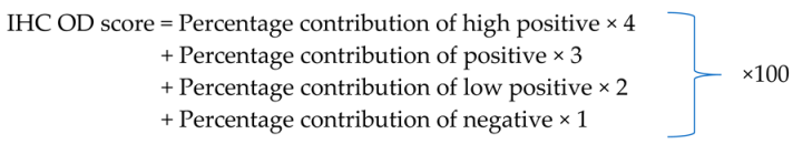 Nanomaterials 14 00091 i001