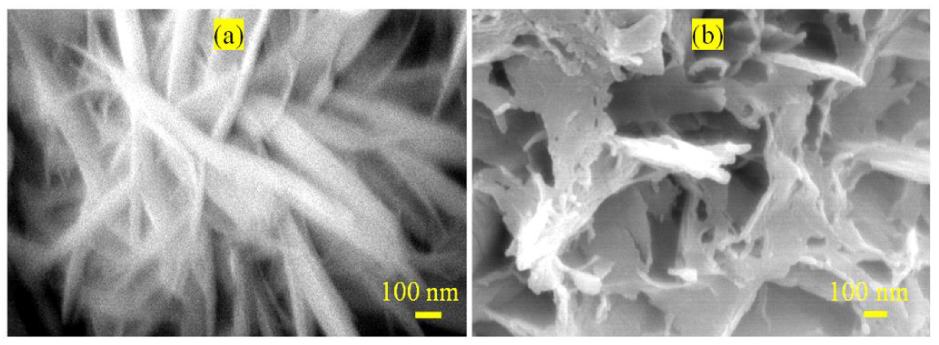 Nanomaterials 14 00093 g006