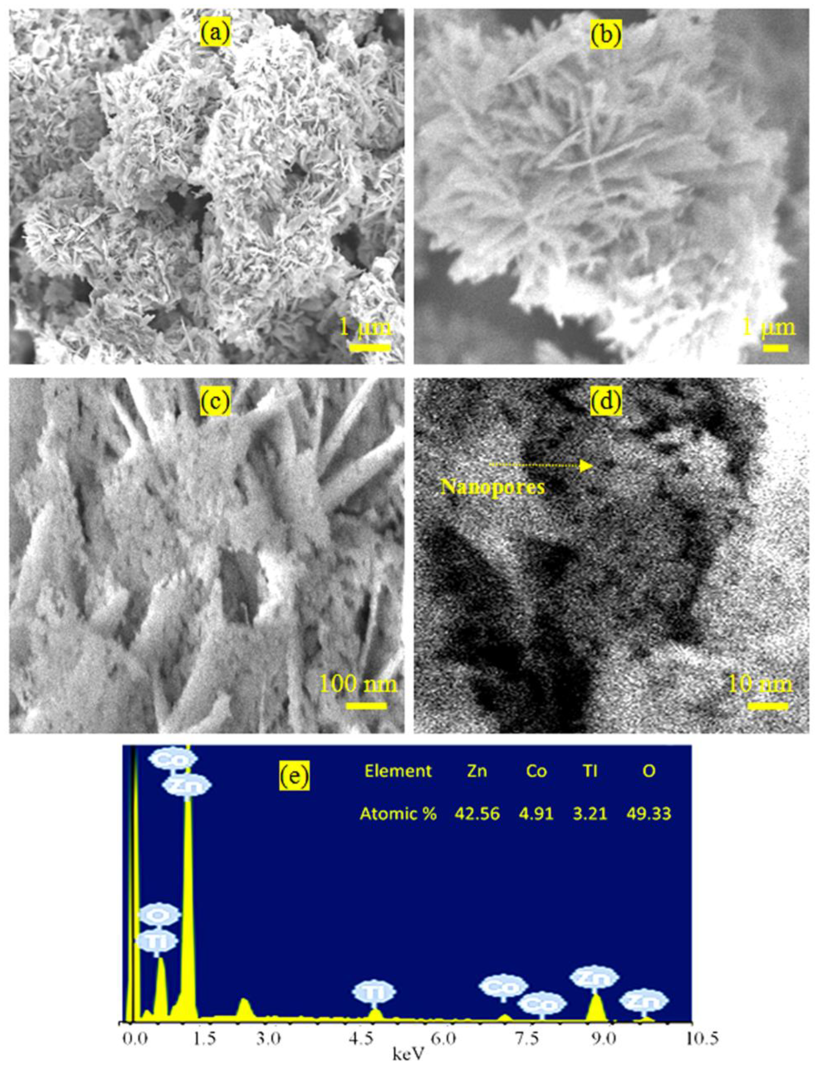 Nanomaterials 14 00093 g007