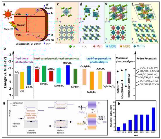 Nanomaterials 14 00094 g001