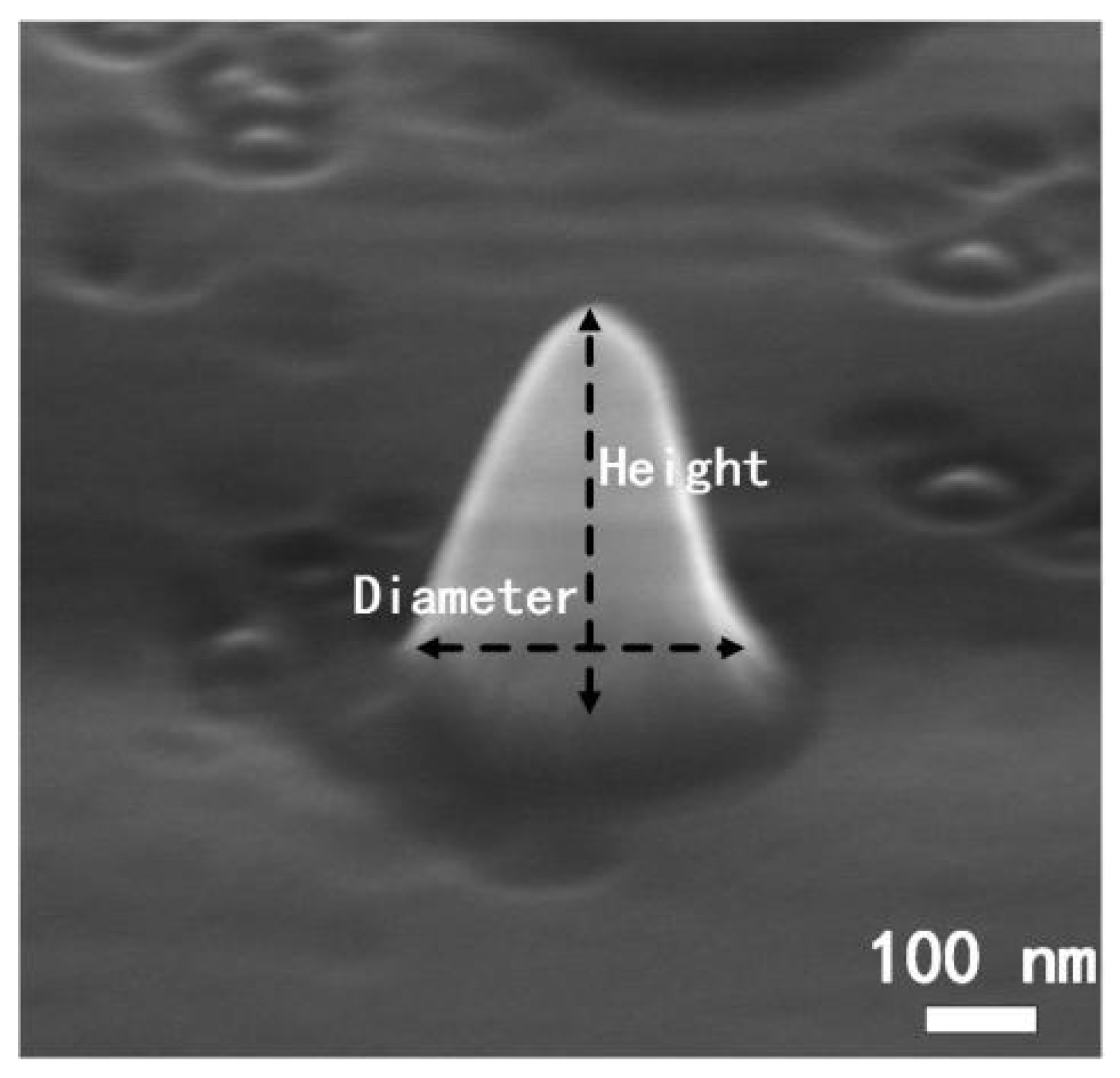 Nanomaterials 14 00099 g002