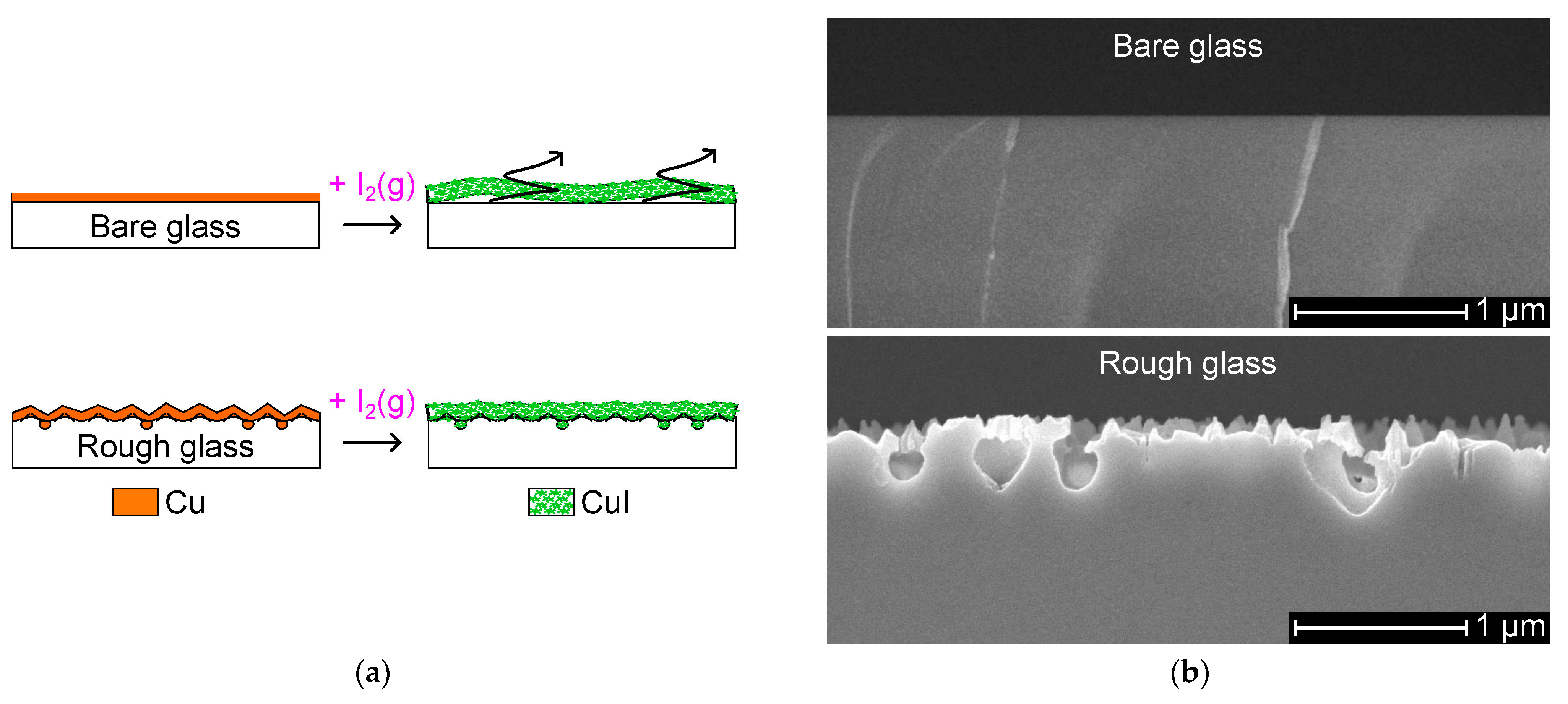 Nanomaterials 14 00105 g001