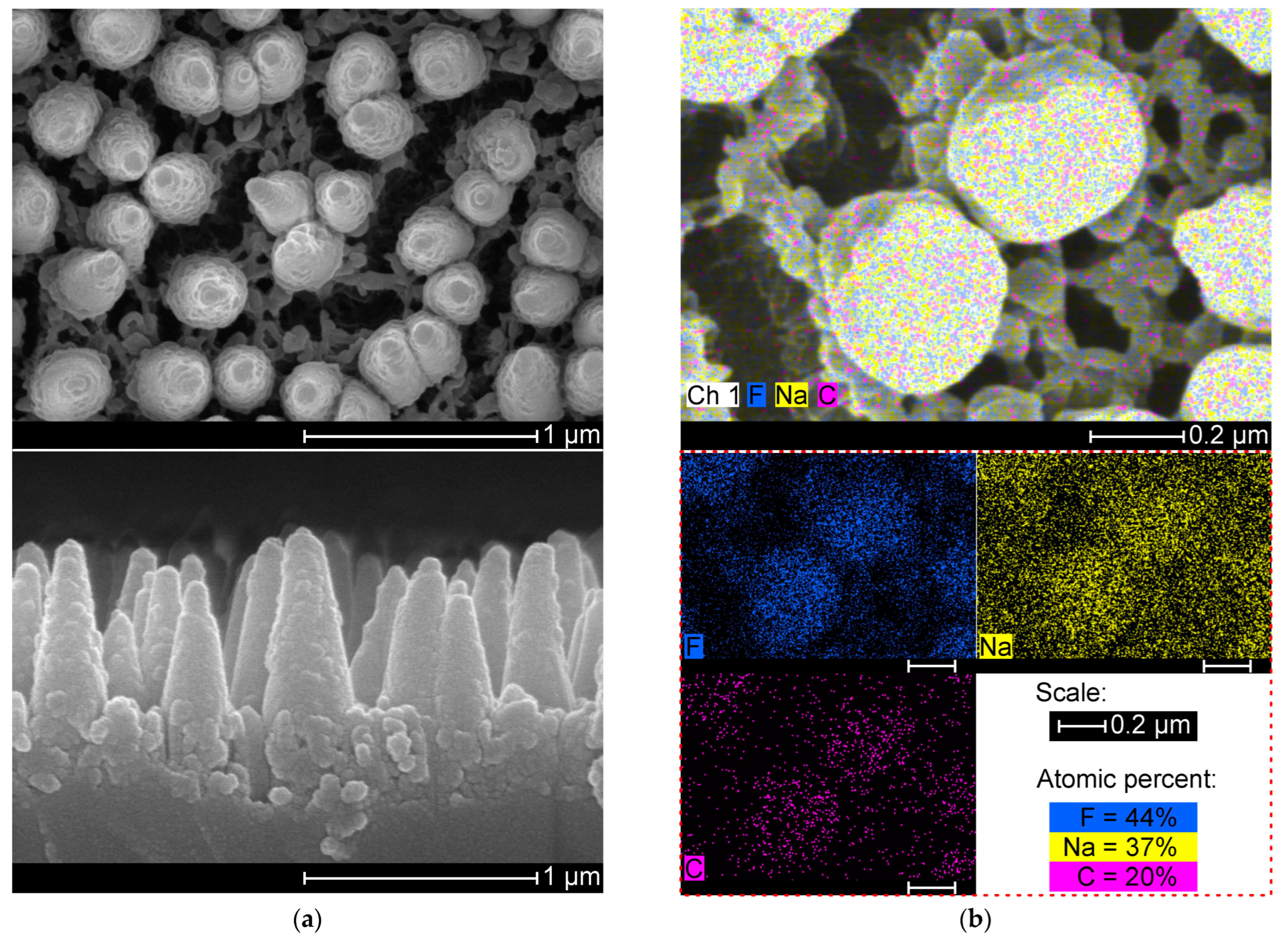Nanomaterials 14 00105 g006
