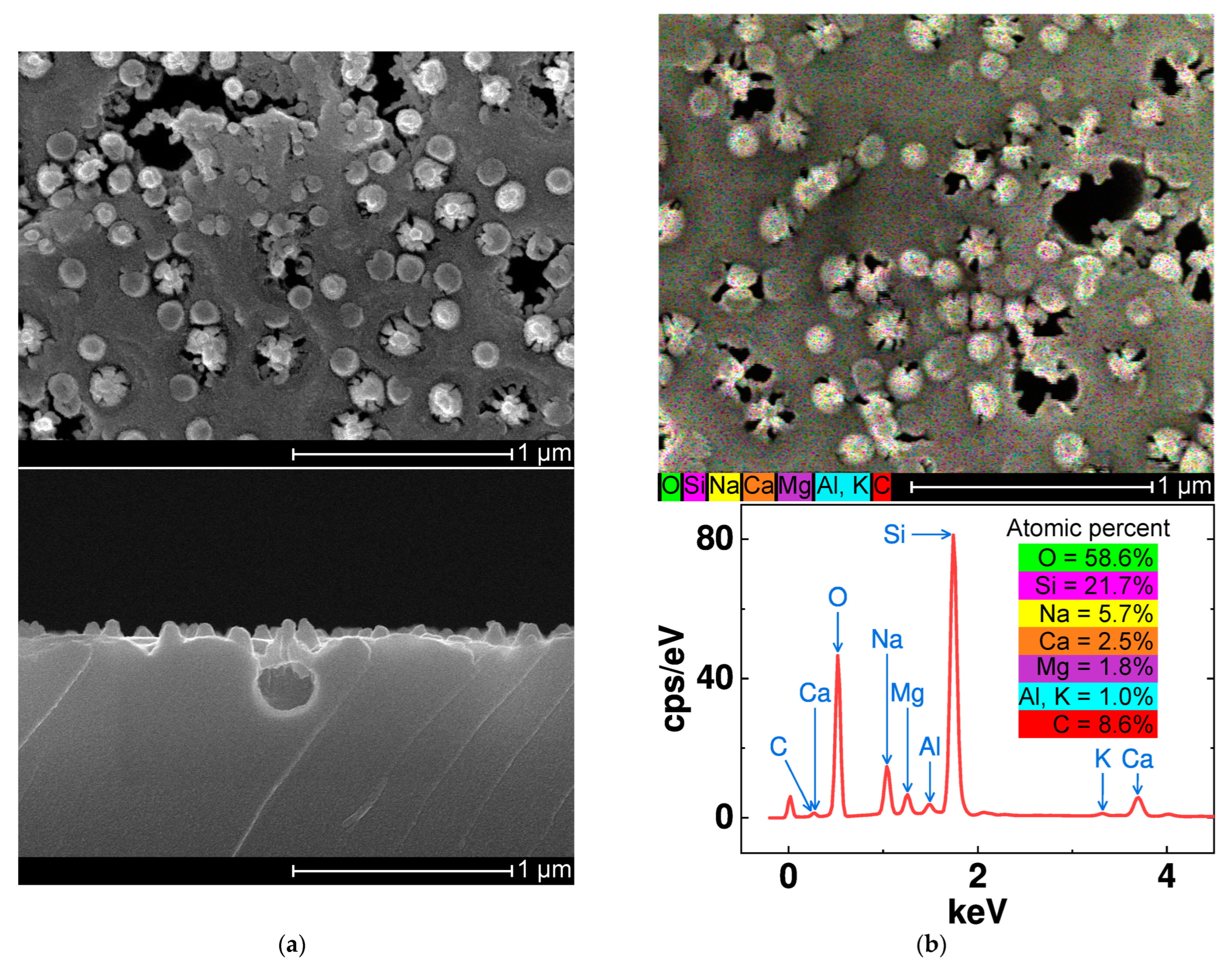 Nanomaterials 14 00105 g007