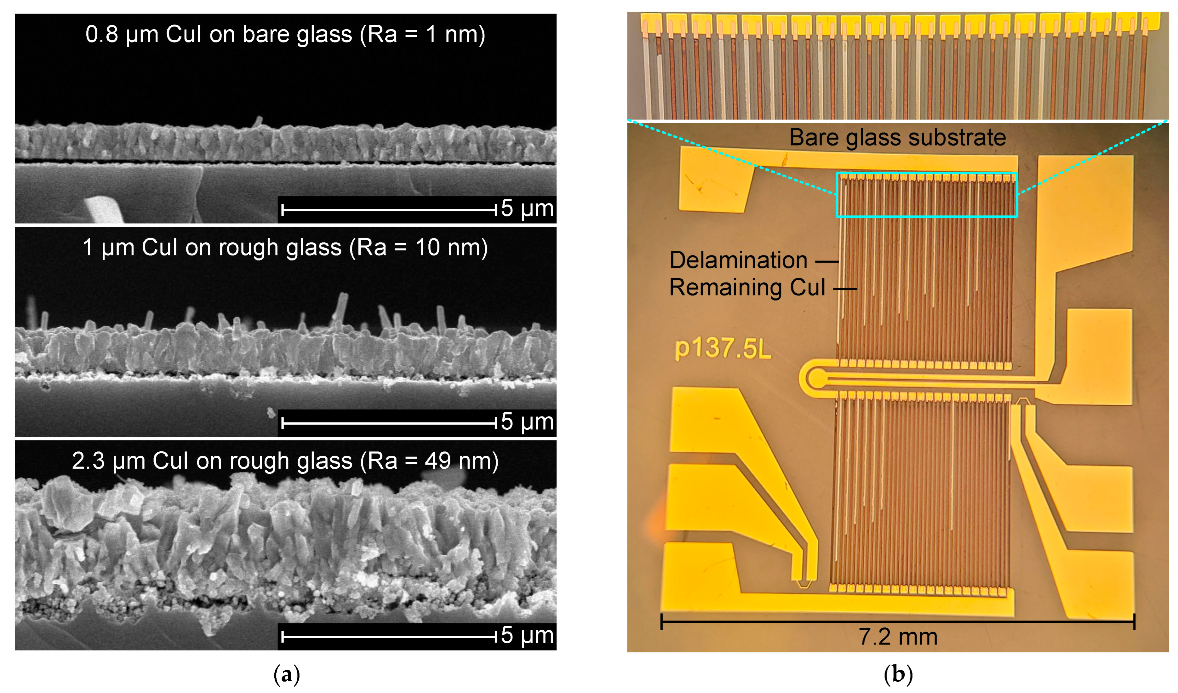 Nanomaterials 14 00105 g012