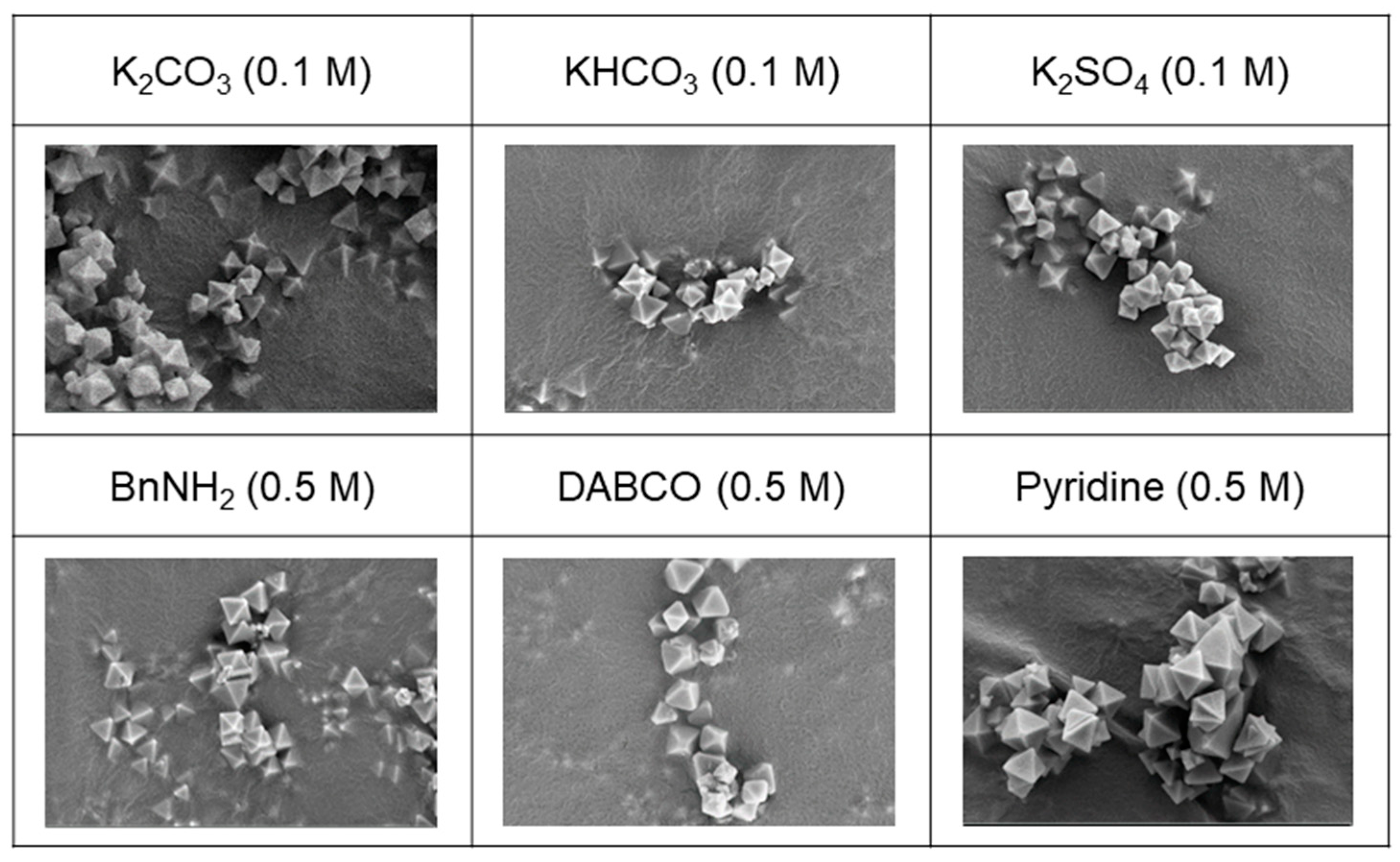 Nanomaterials 14 00110 g008