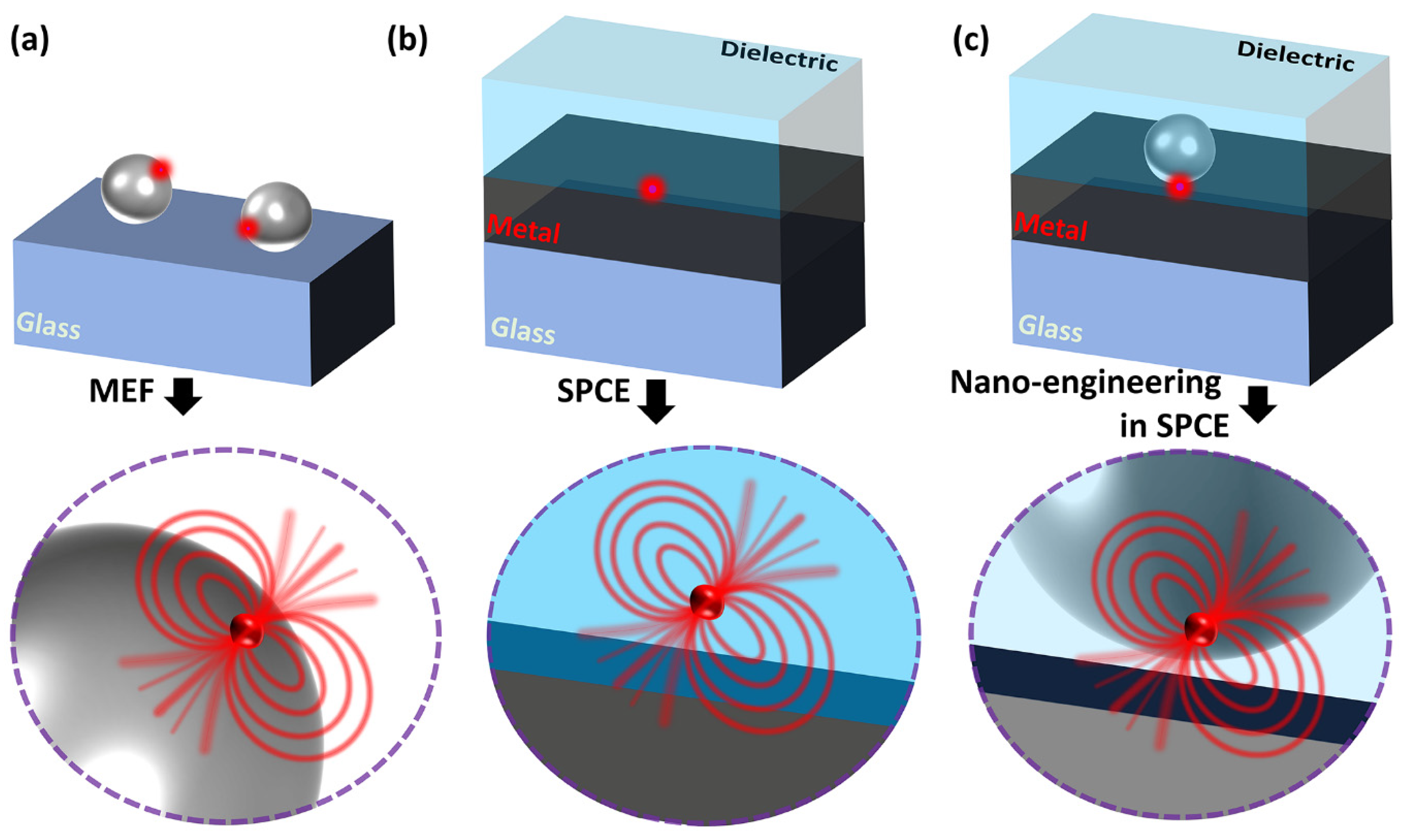 Nanomaterials 14 00111 g001