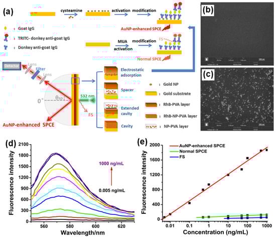 Nanomaterials 14 00111 g002