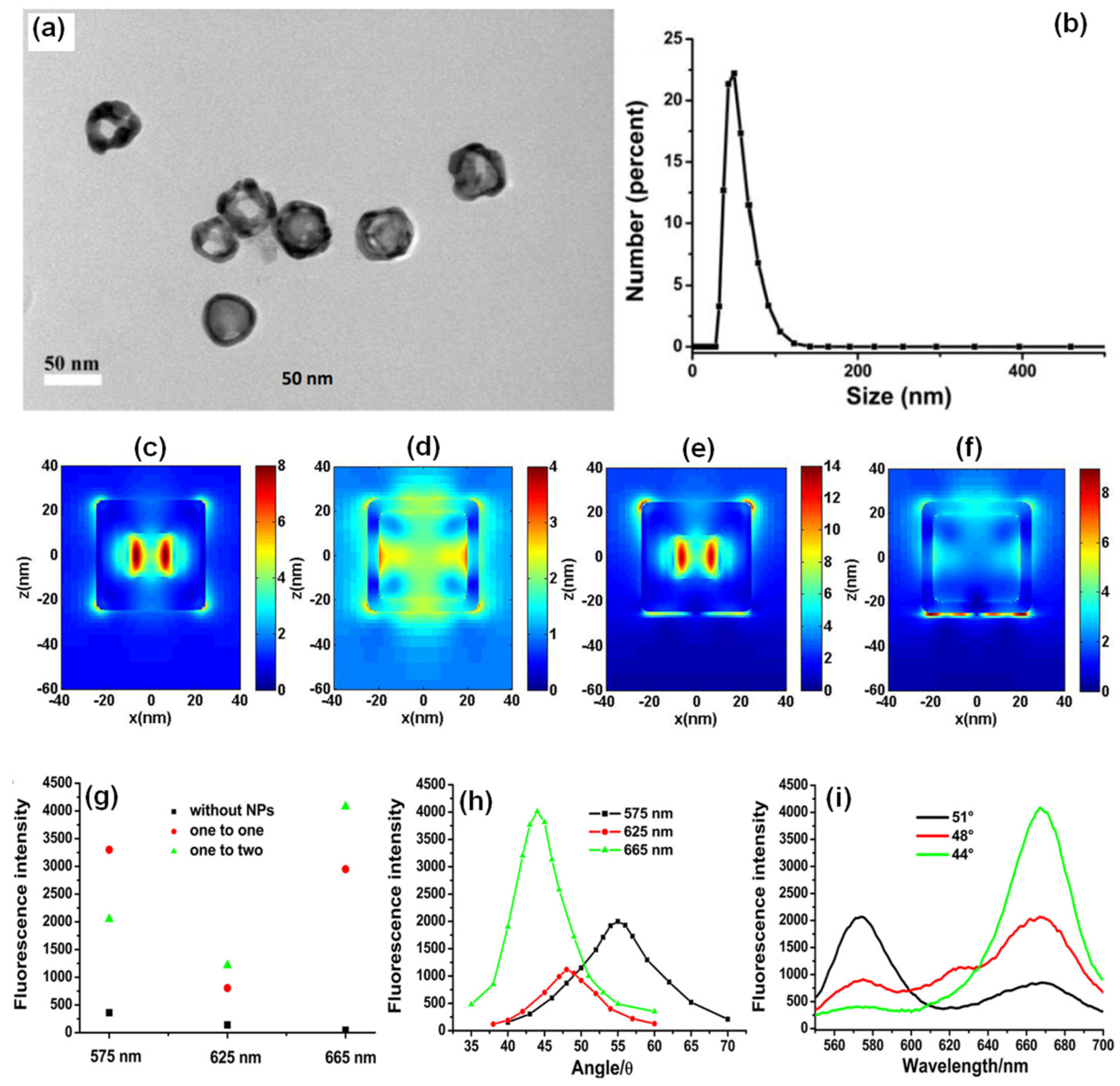 Nanomaterials 14 00111 g007
