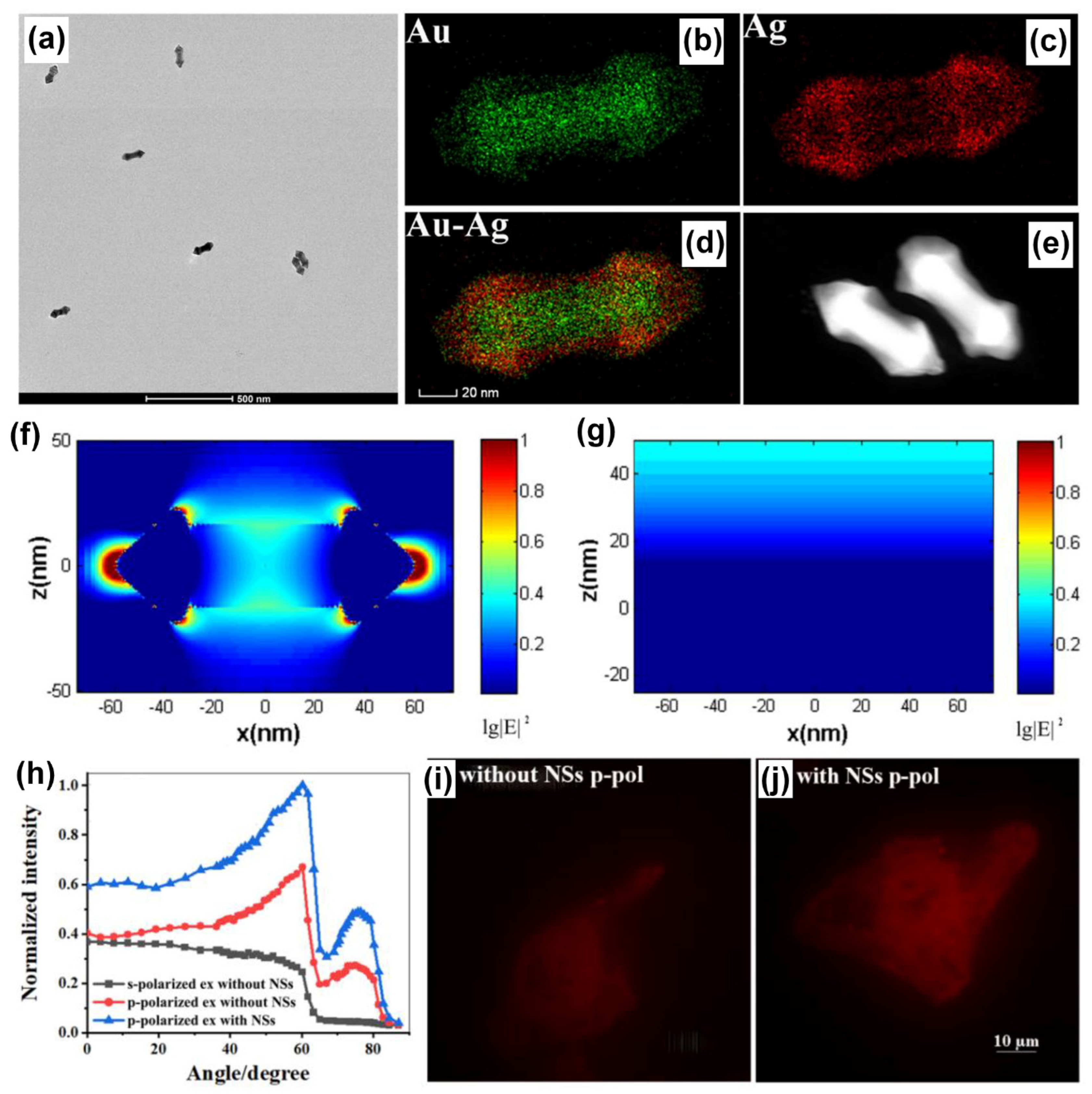 Nanomaterials 14 00111 g008