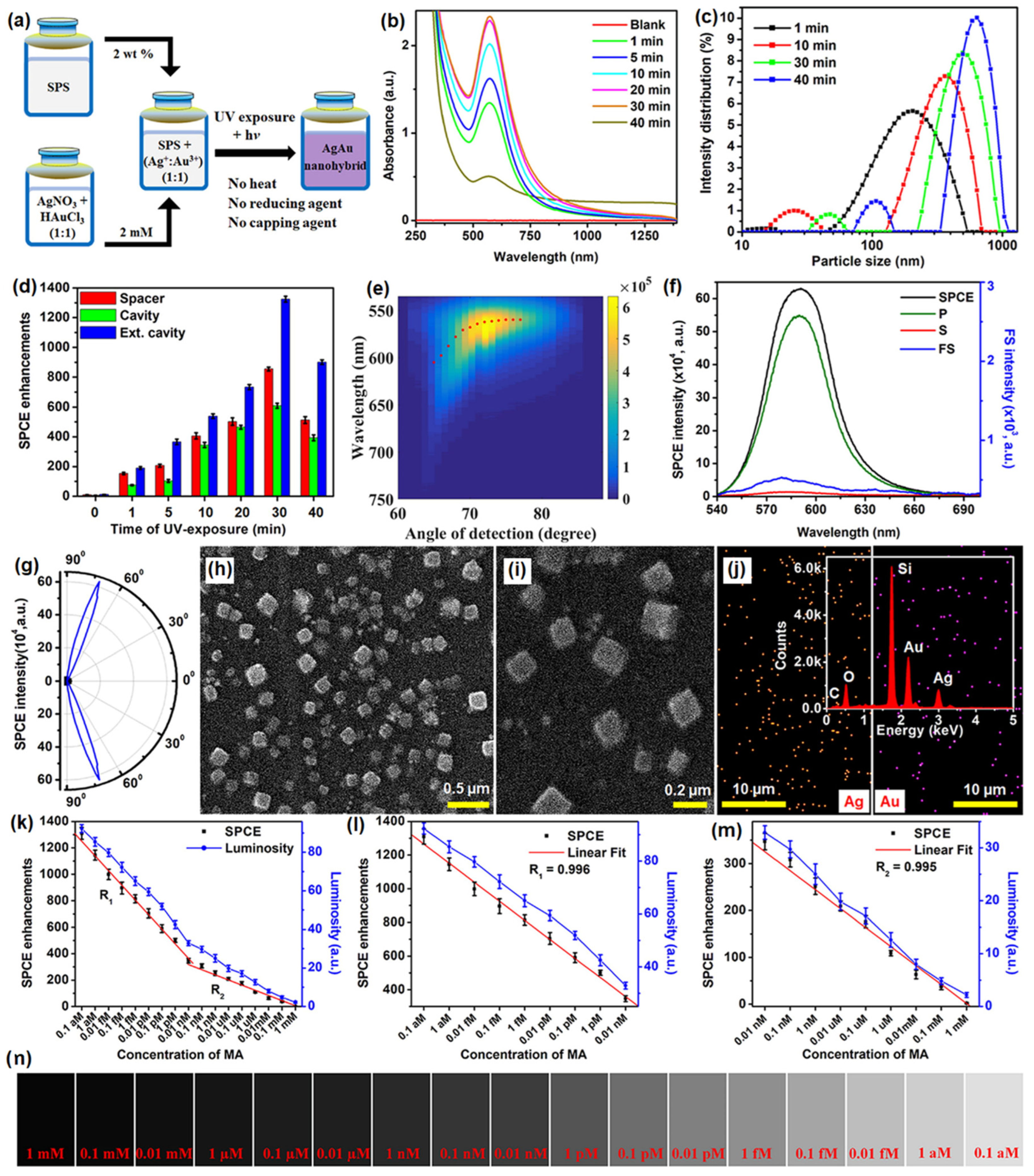 Nanomaterials 14 00111 g009
