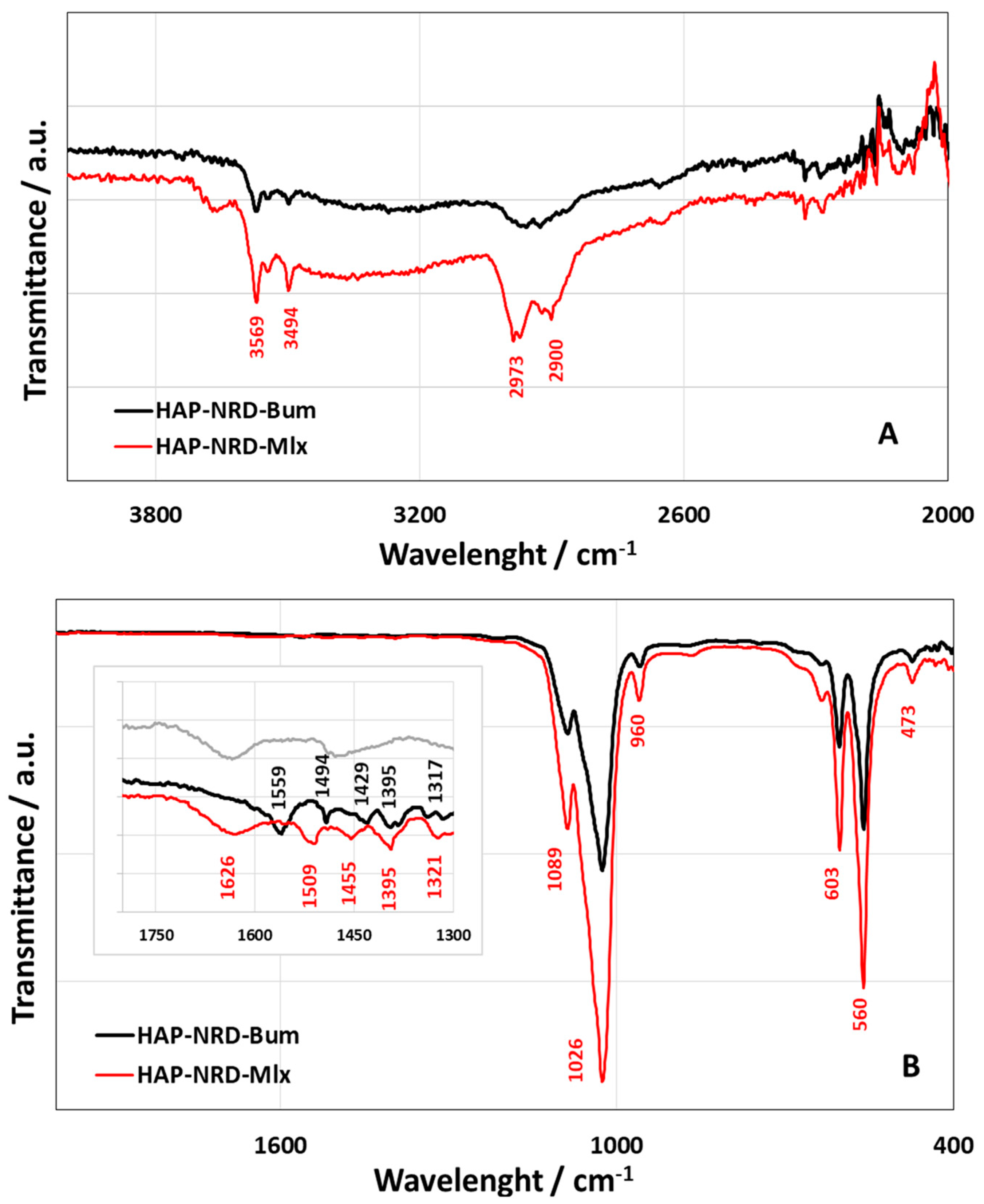 Nanomaterials 14 00113 g004