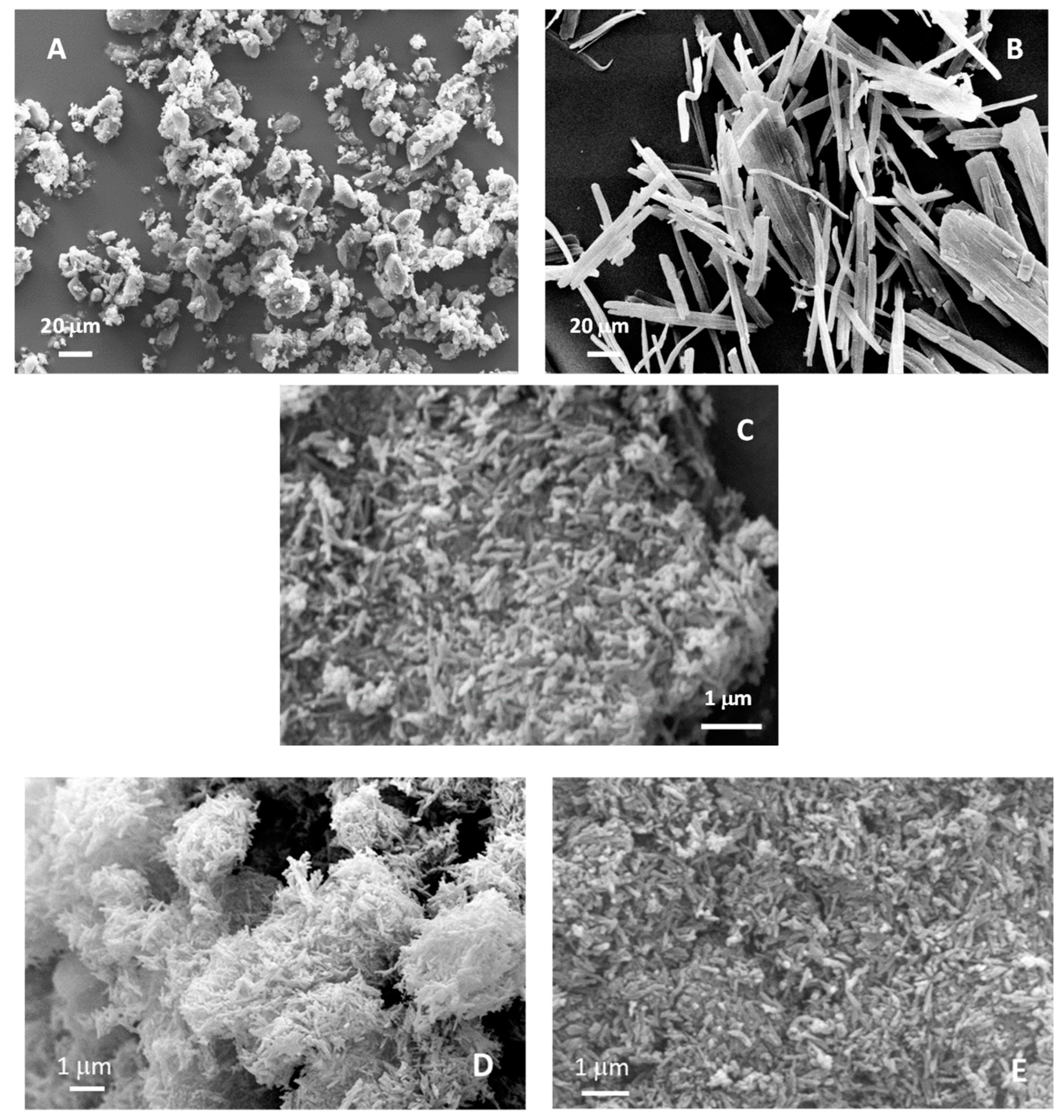Nanomaterials 14 00113 g005