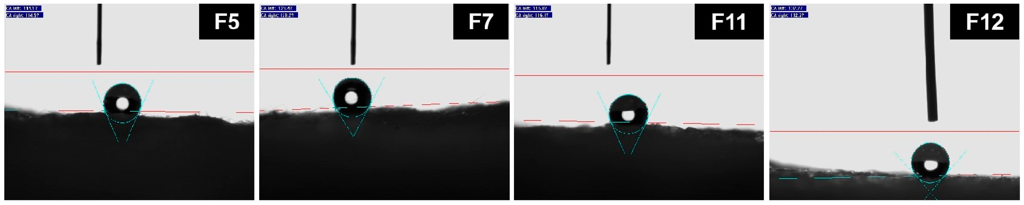 Nanomaterials 14 00119 g006