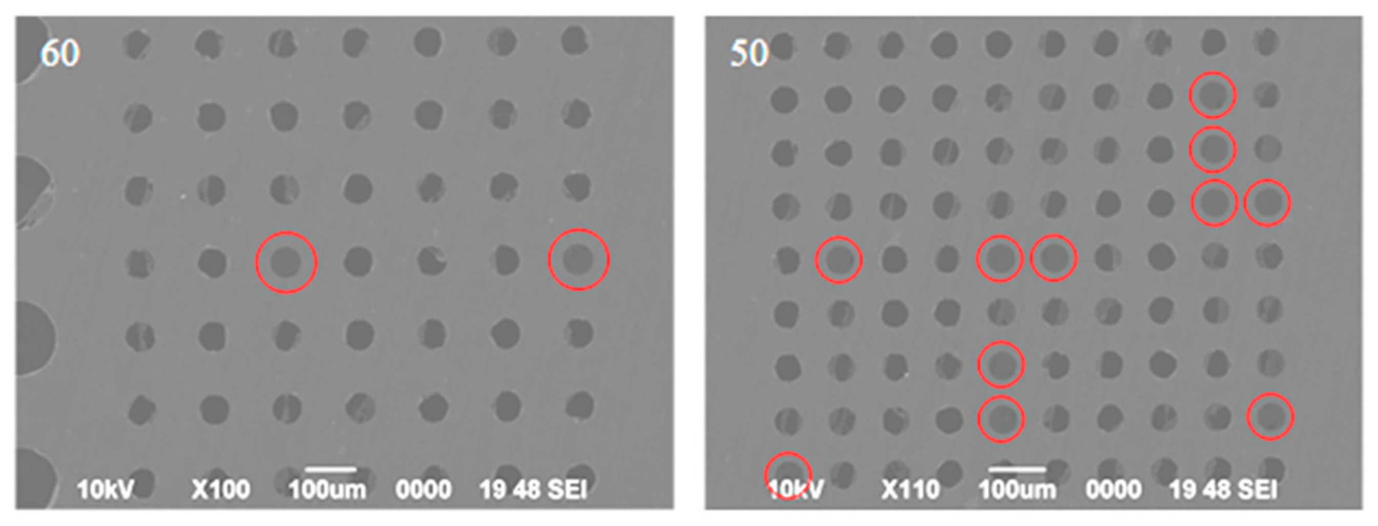 Nanomaterials 14 00130 g006
