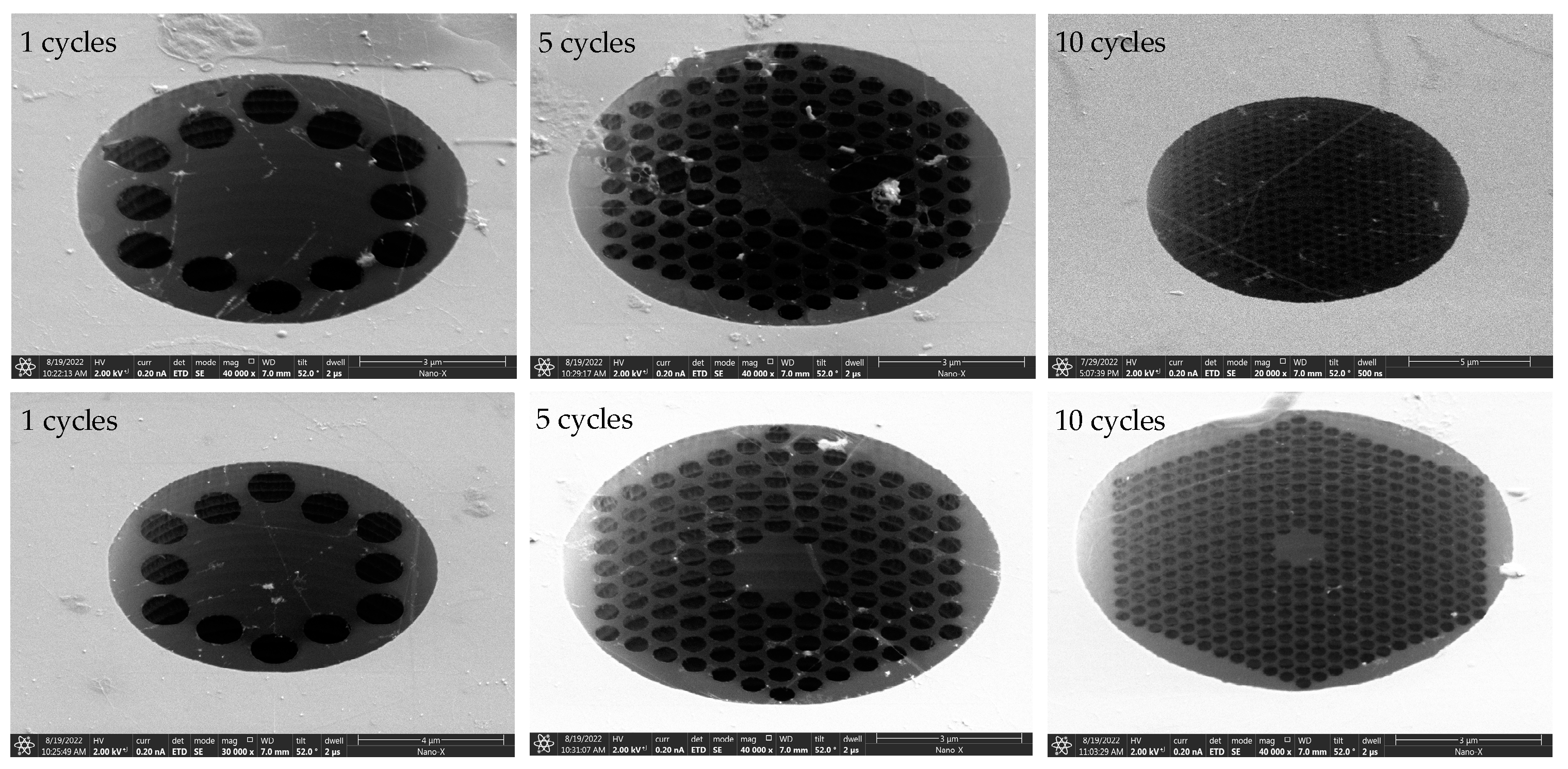 Nanomaterials 14 00130 g012