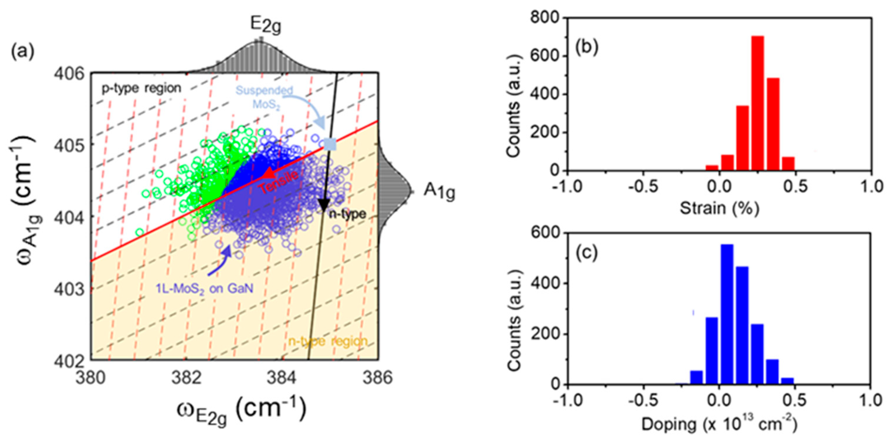 Nanomaterials 14 00133 g004