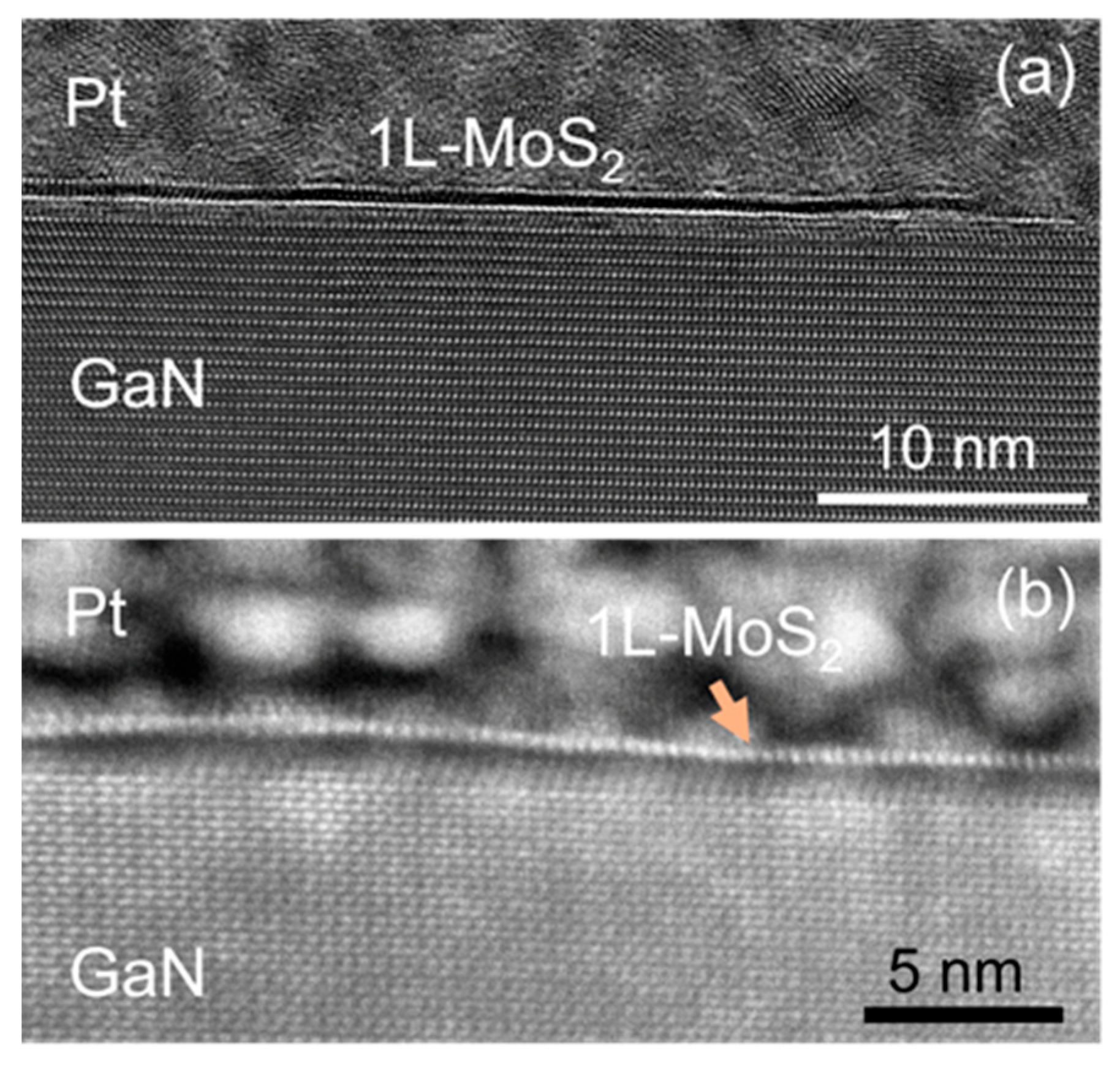 Nanomaterials 14 00133 g006