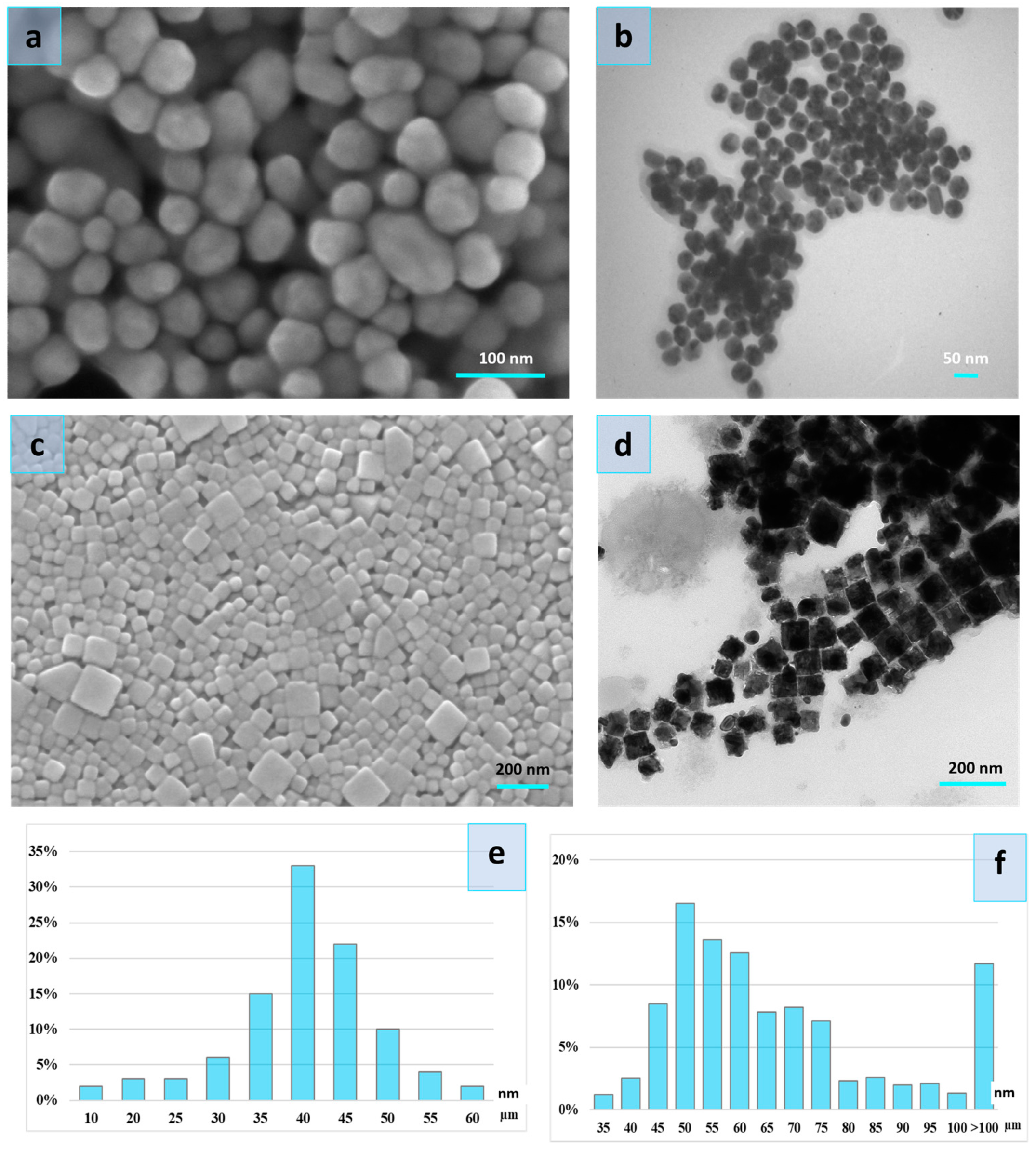 Nanomaterials 14 00137 g001