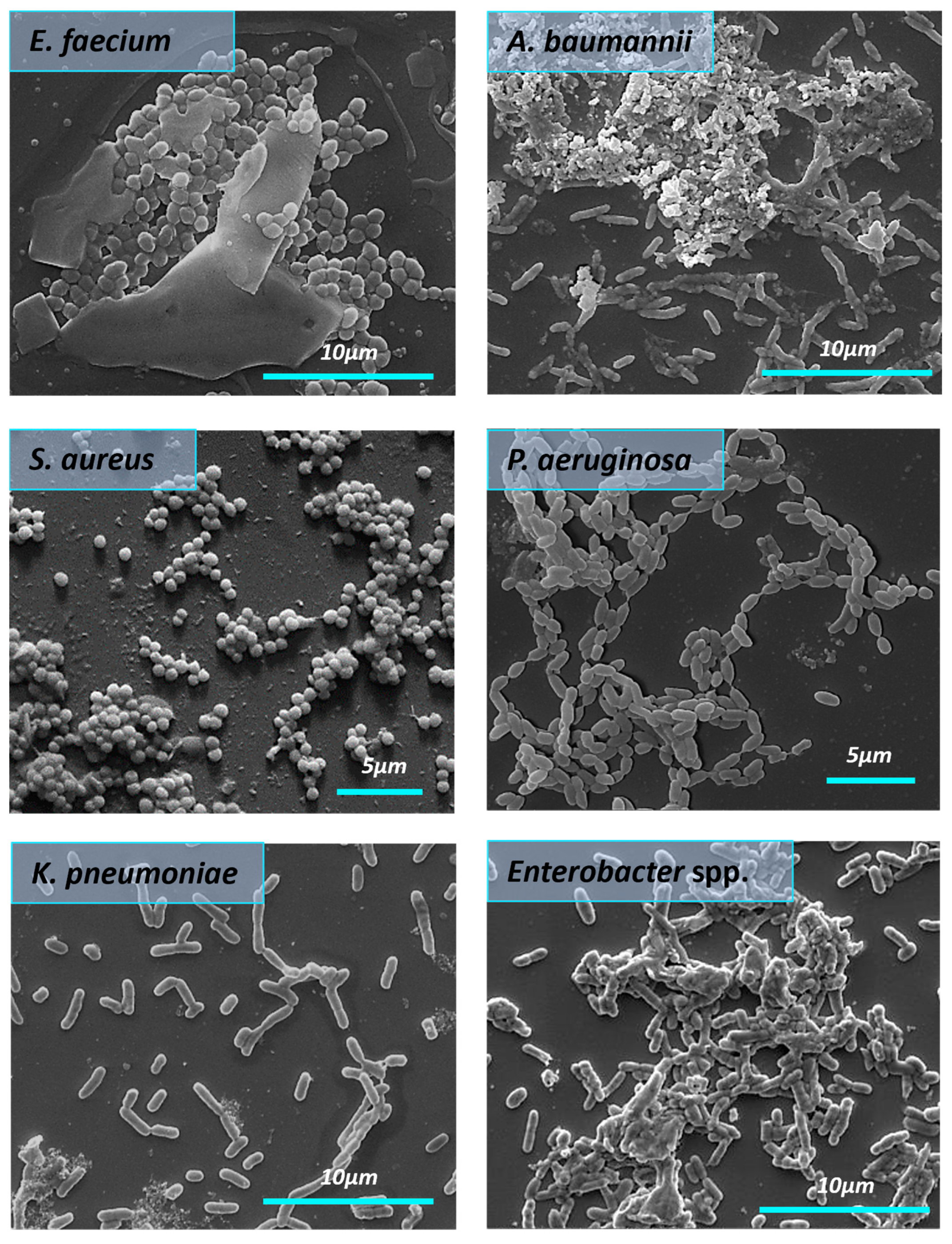 Nanomaterials 14 00137 g007