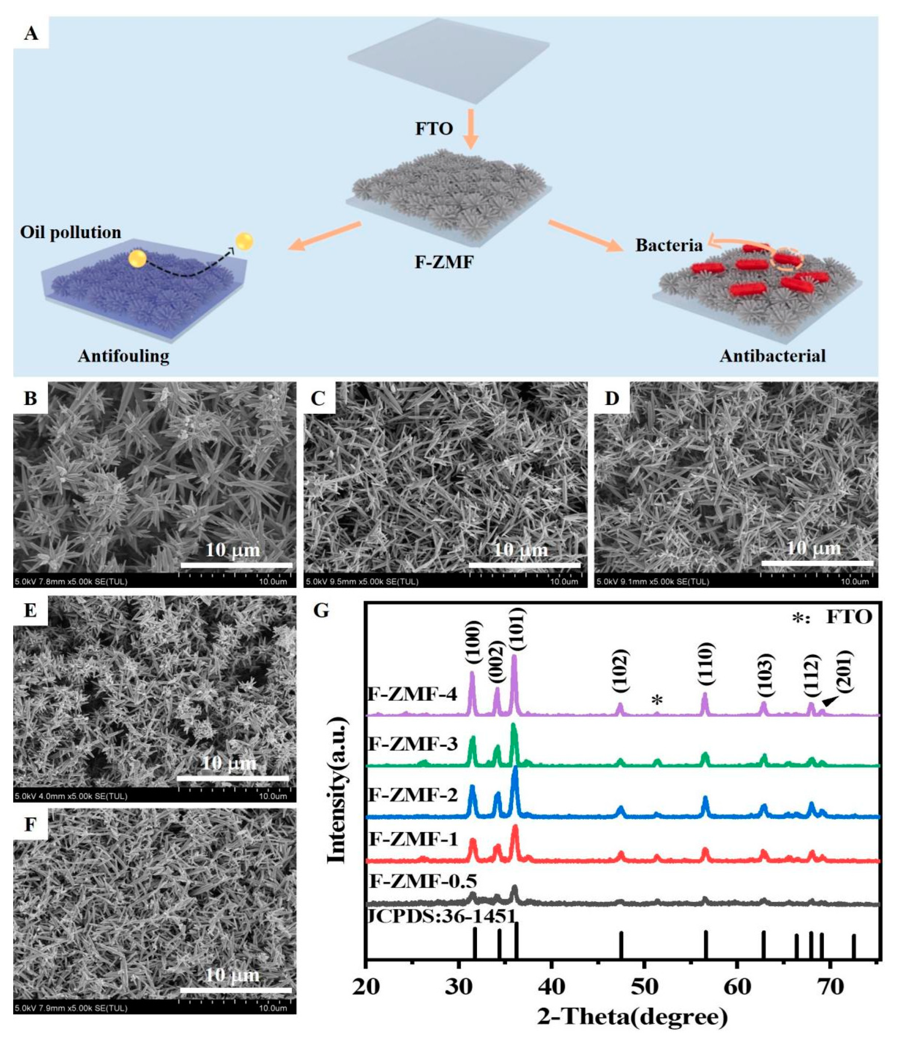 Nanomaterials 14 00150 g001