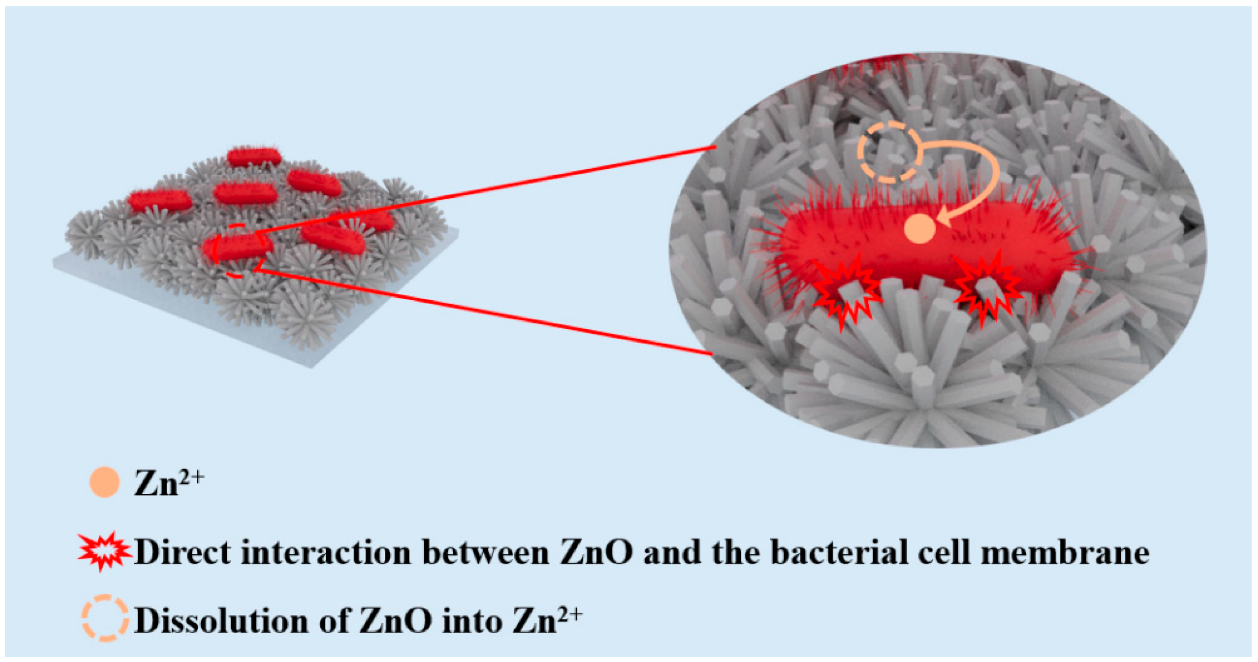 Nanomaterials 14 00150 g007