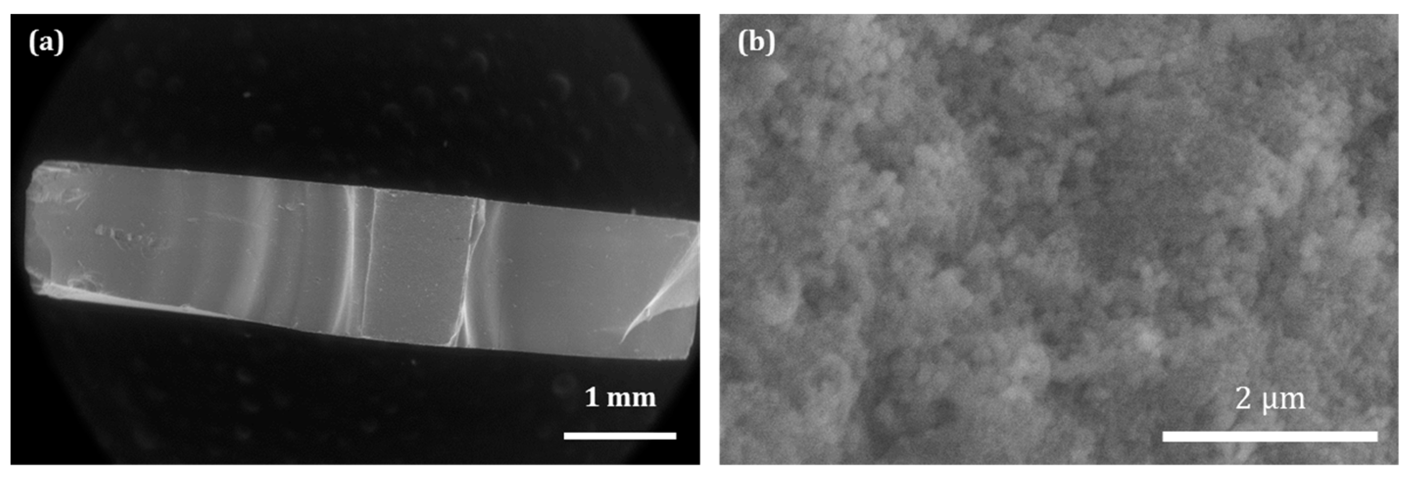 Nanomaterials 14 00152 g004