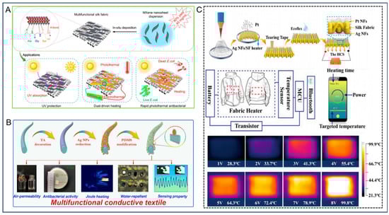Nanomaterials 14 00154 g005