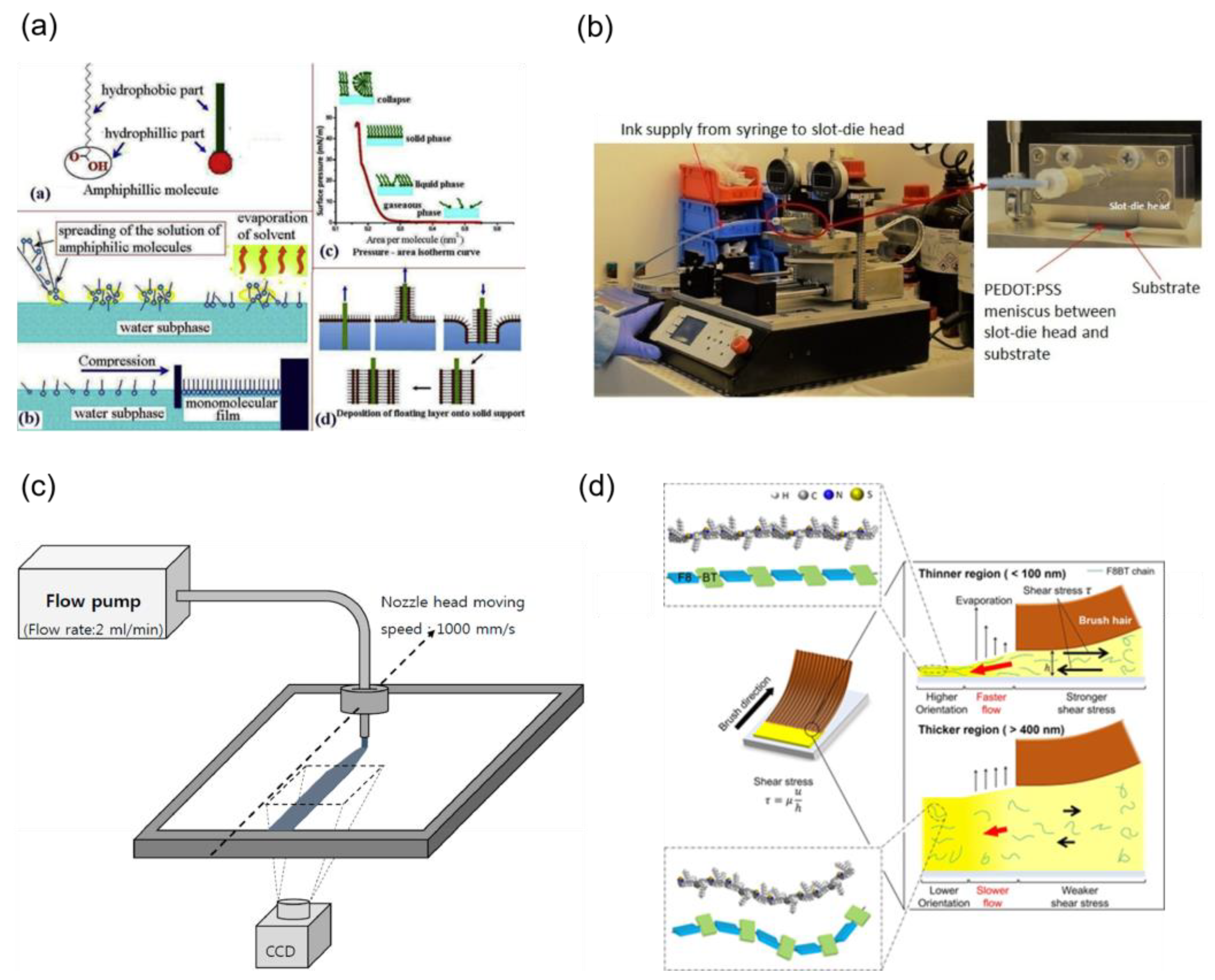 Nanomaterials 14 00161 g010