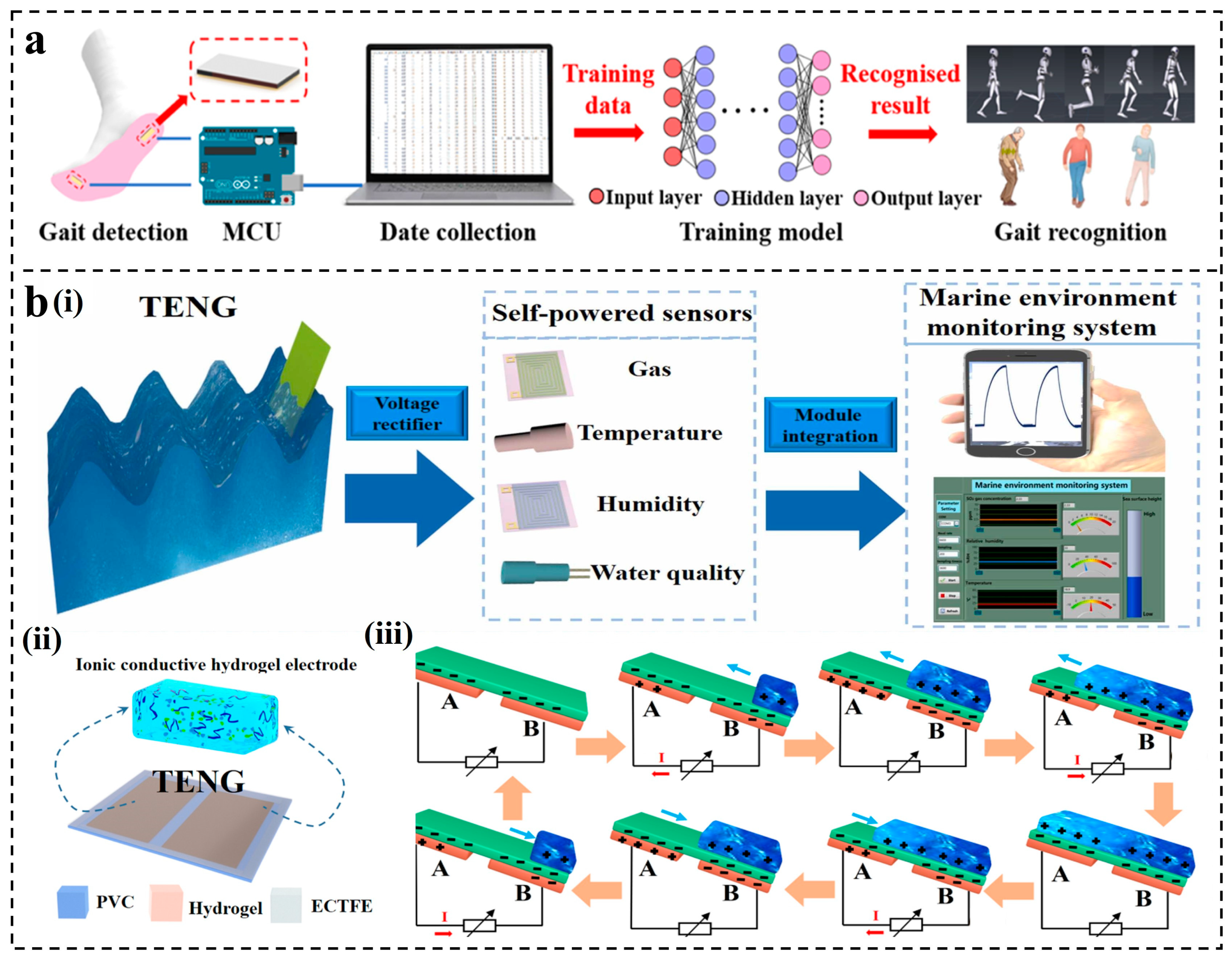 Nanomaterials 14 00165 g006