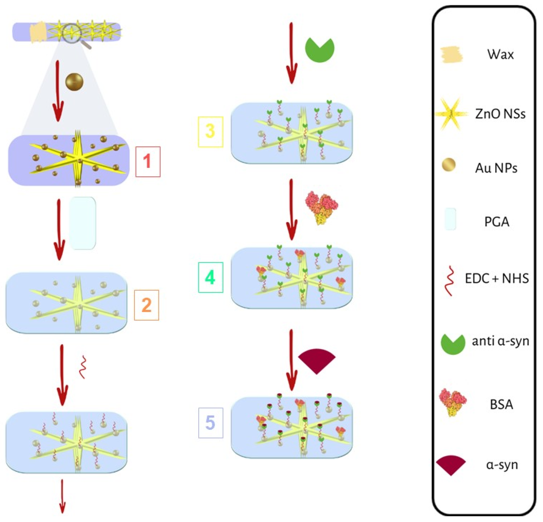 Nanomaterials 14 00170 g001