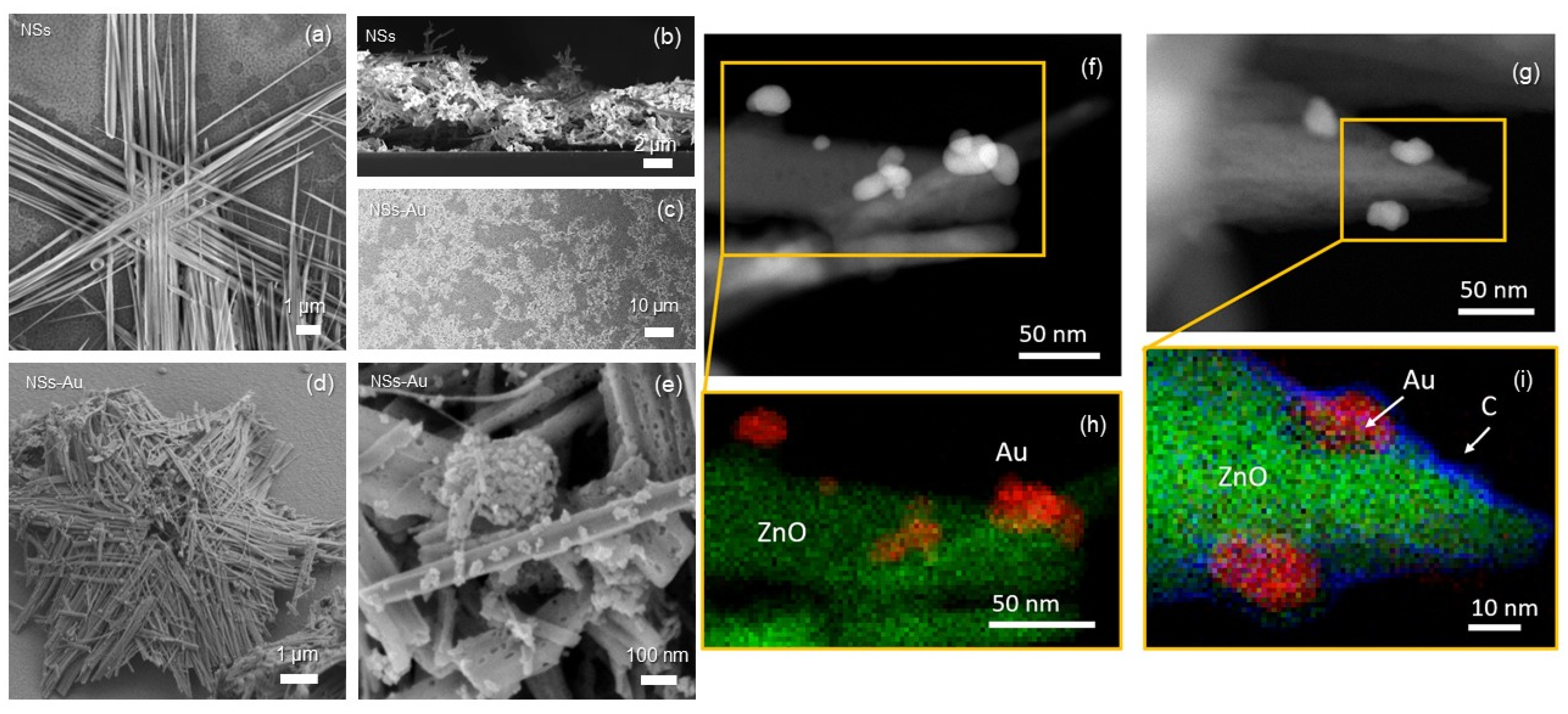 Nanomaterials 14 00170 g002