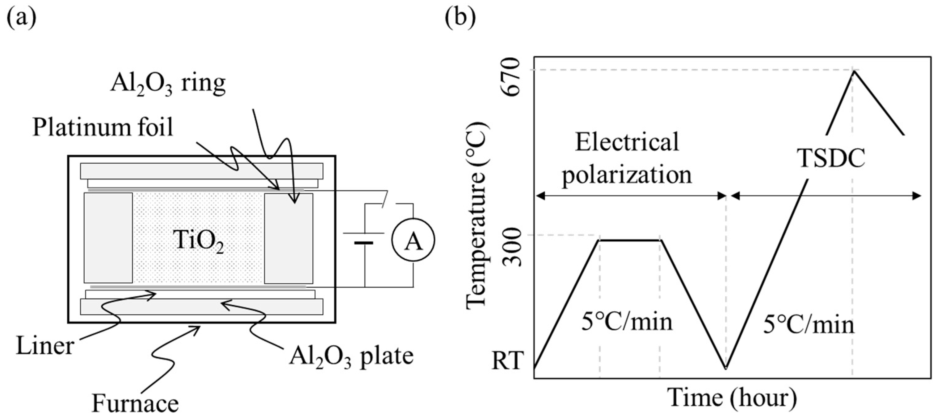 Nanomaterials 14 00171 g001 Nanomaterials 14 00171 g001