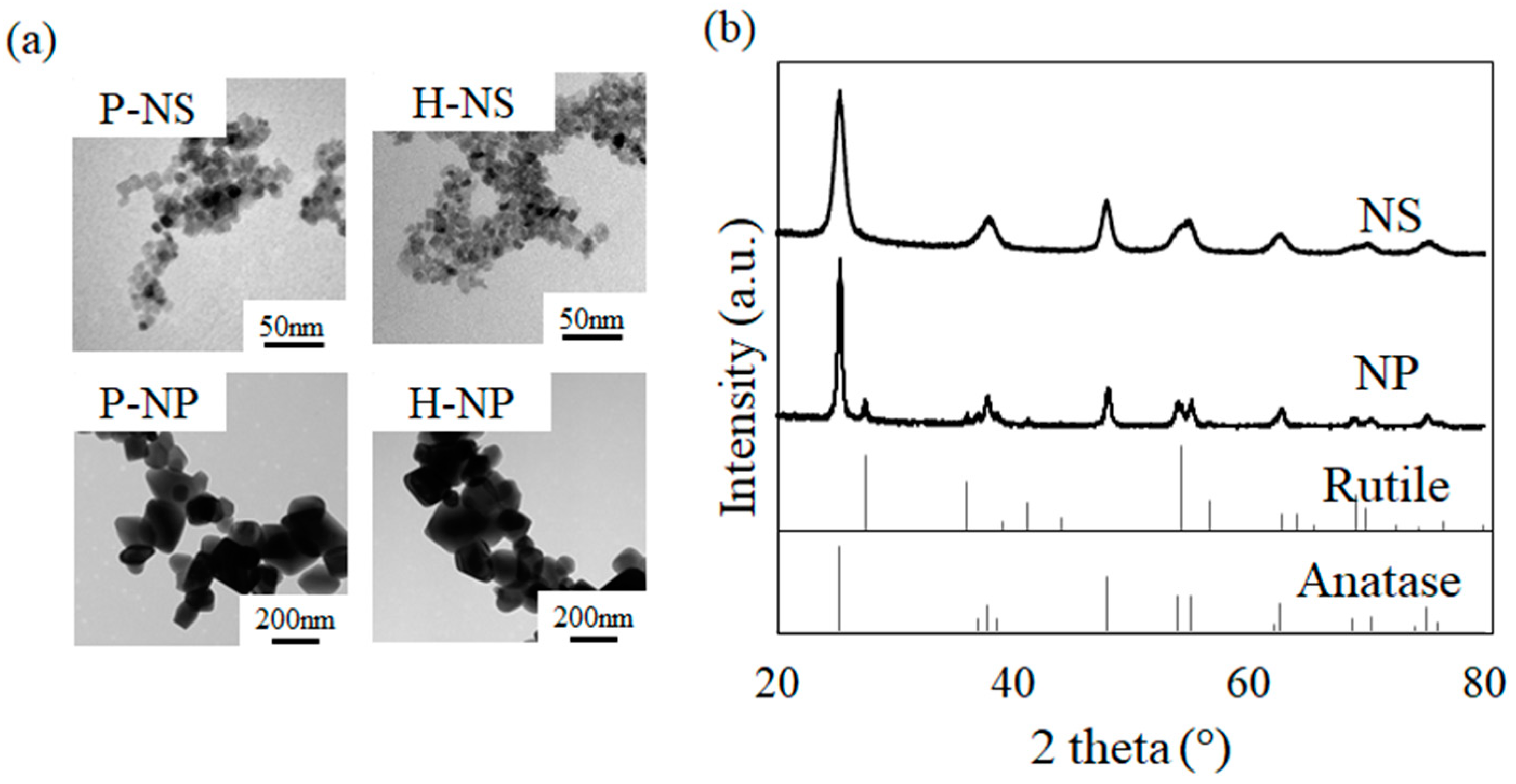 Nanomaterials 14 00171 g003 Nanomaterials 14 00171 g003