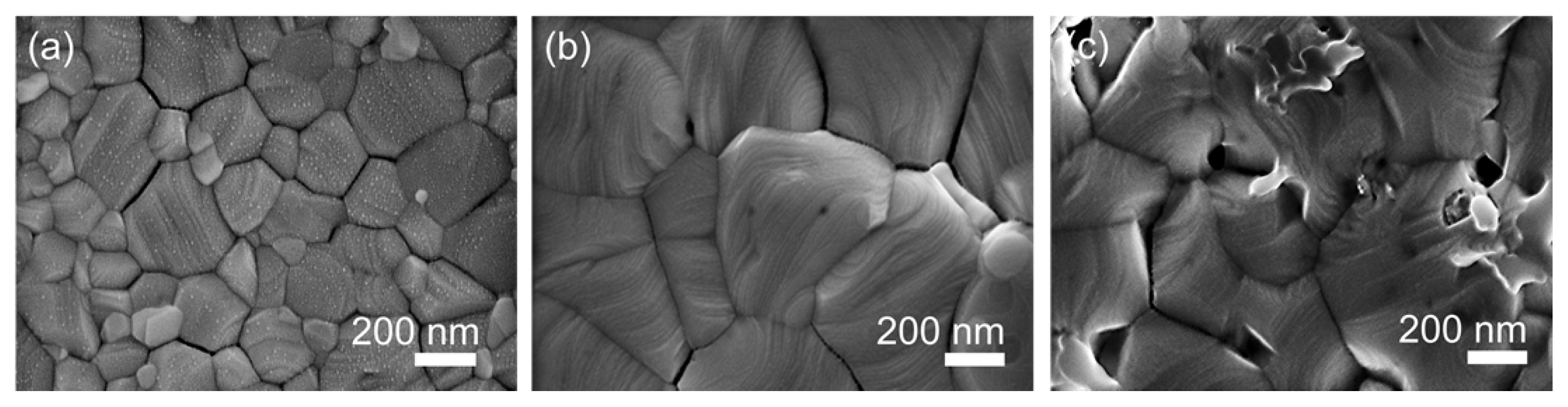 Nanomaterials 14 00172 g001 Nanomaterials 14 00172 g001