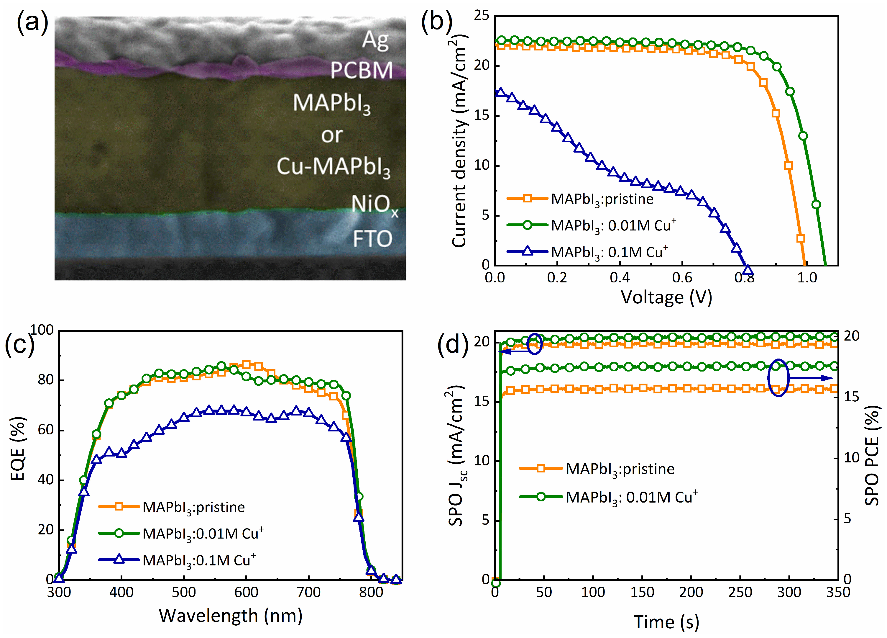 Nanomaterials 14 00172 g006 Nanomaterials 14 00172 g006