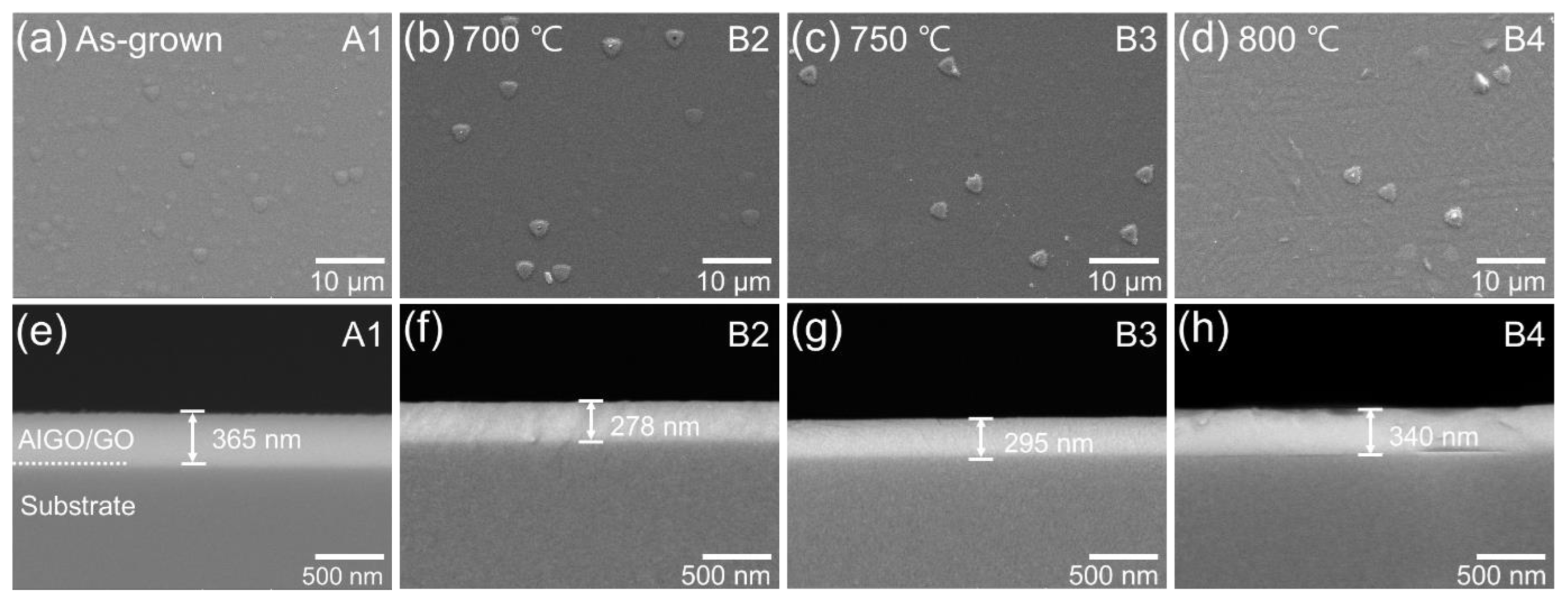 Nanomaterials 14 00178 g002