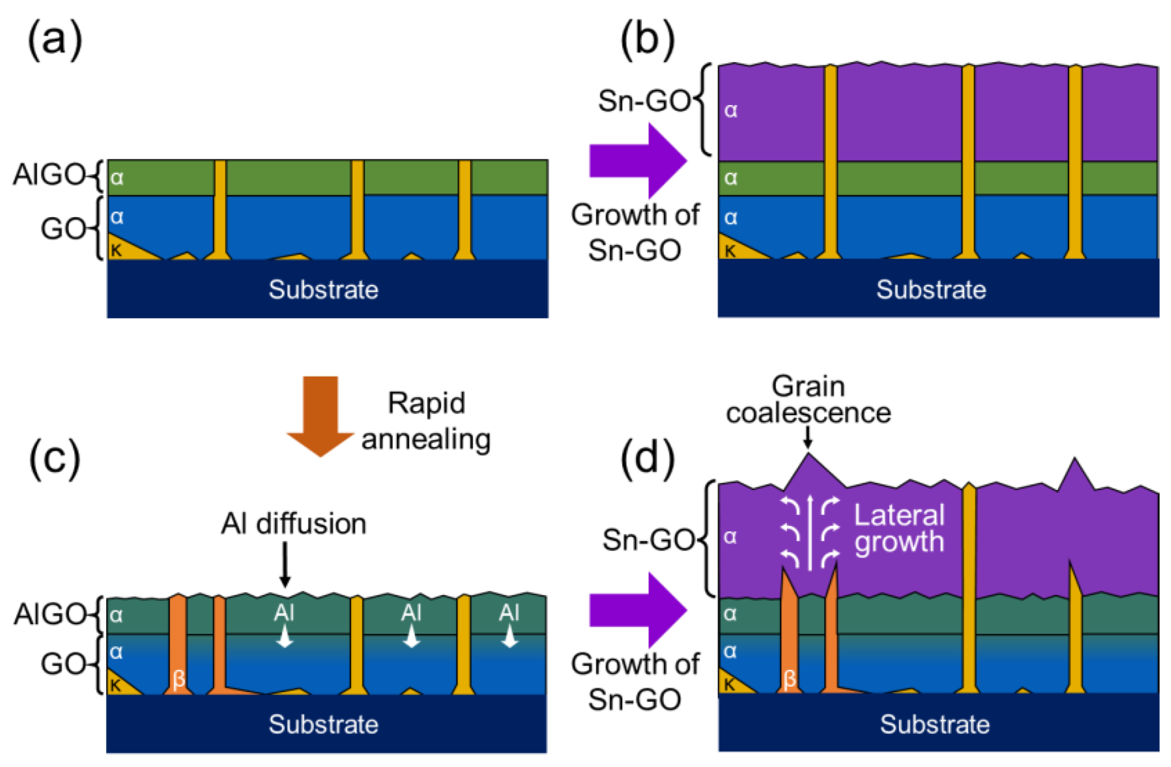 Nanomaterials 14 00178 g010
