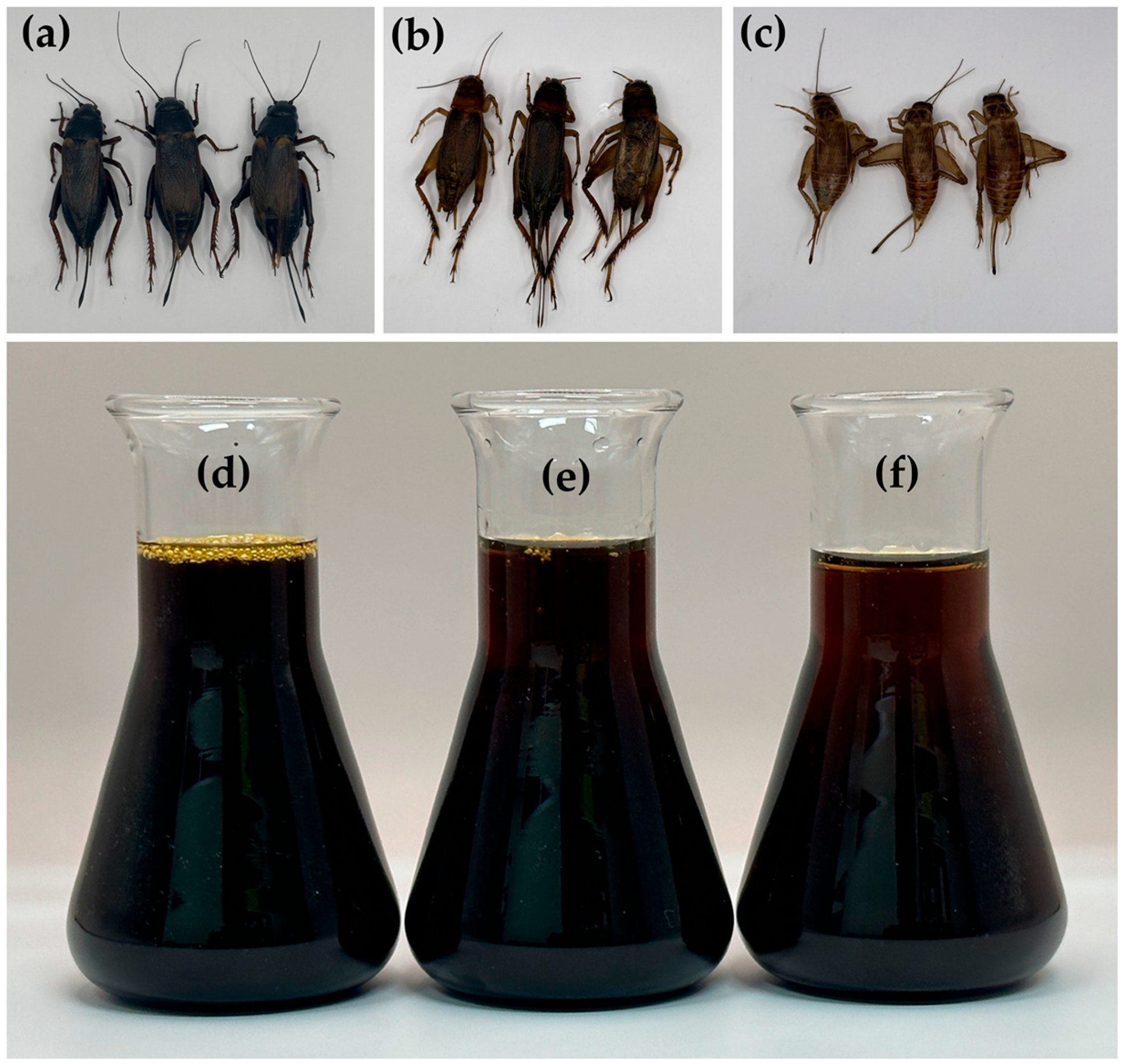 Nanomaterials 14 00184 g001