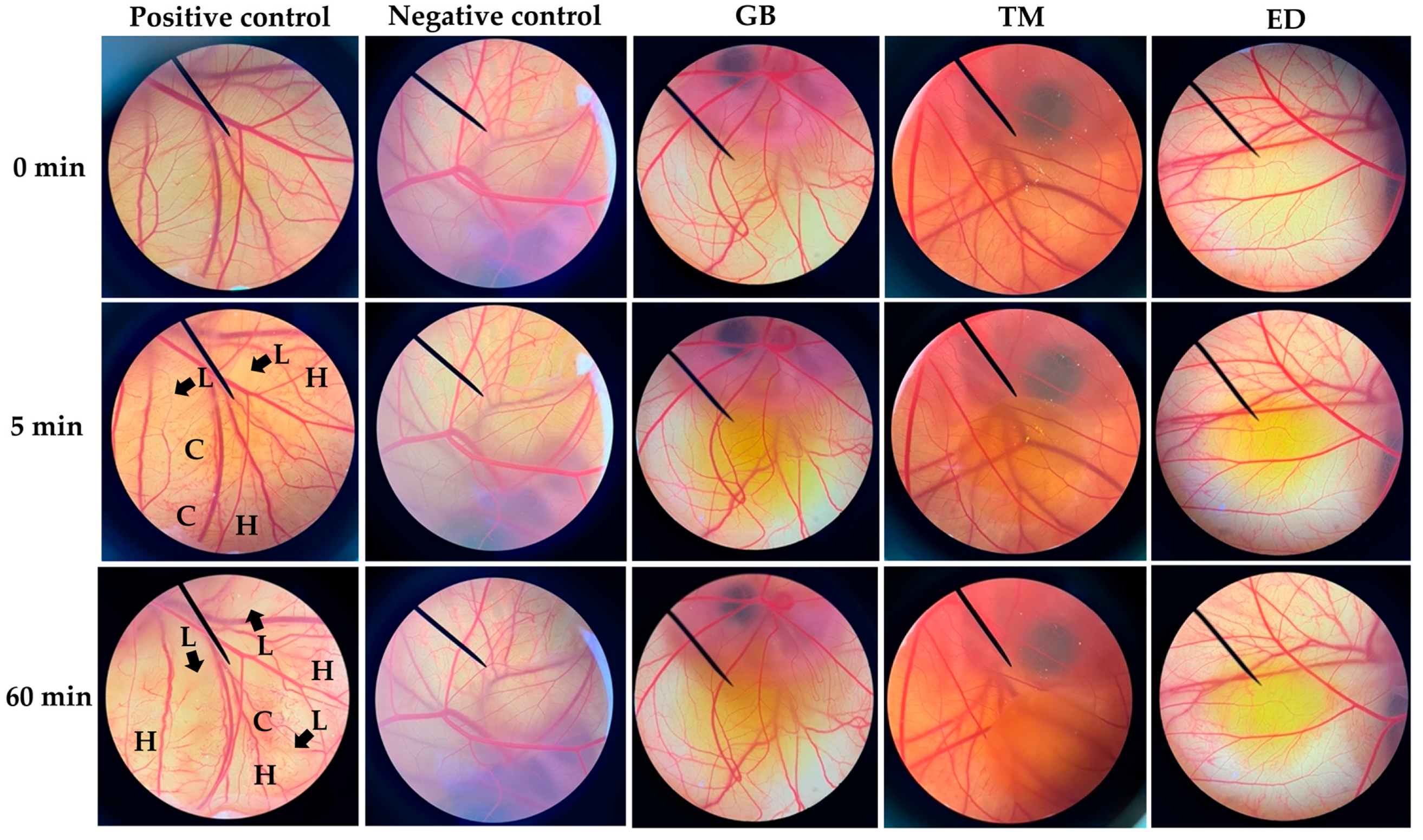 Nanomaterials 14 00184 g003