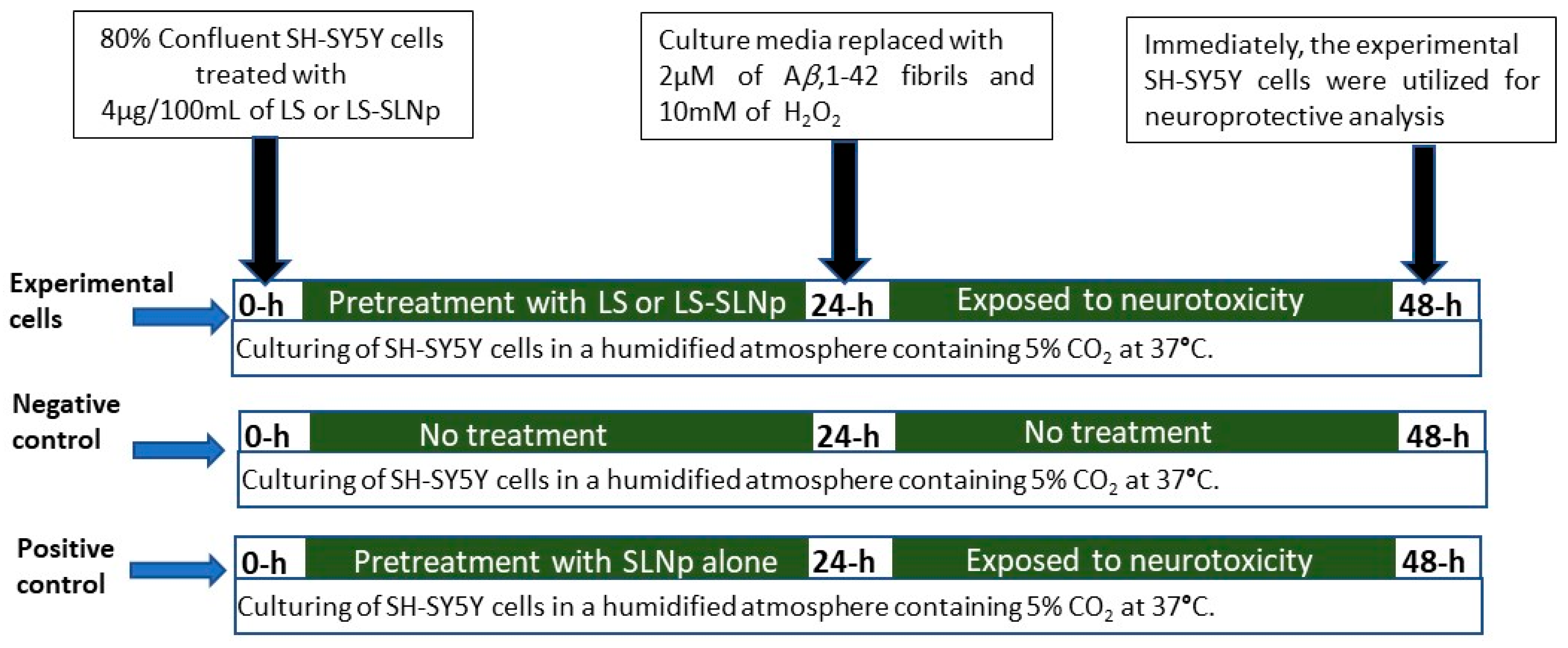 Nanomaterials 14 00199 g001 Nanomaterials 14 00199 g001