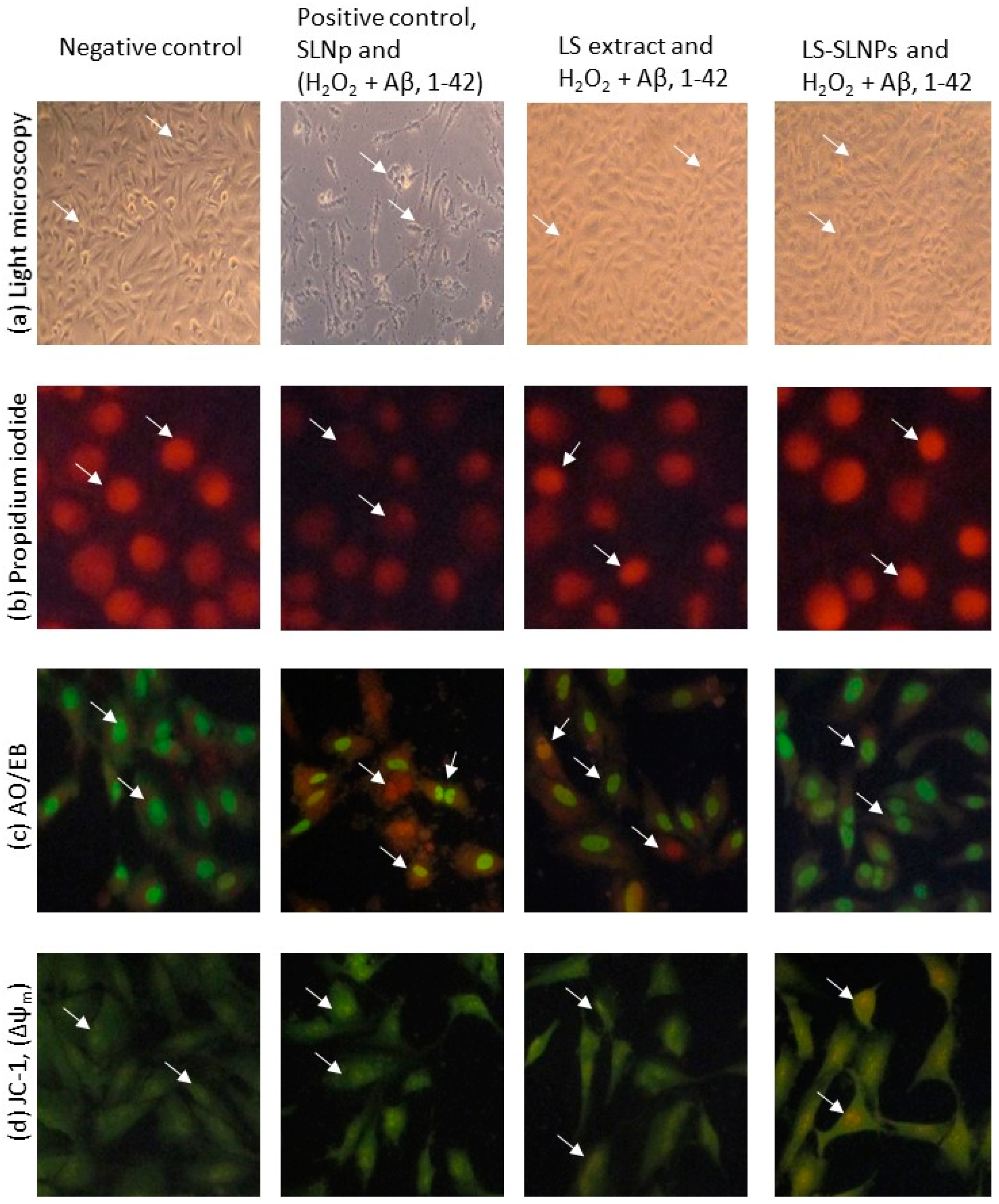 Nanomaterials 14 00199 g004 Nanomaterials 14 00199 g004
